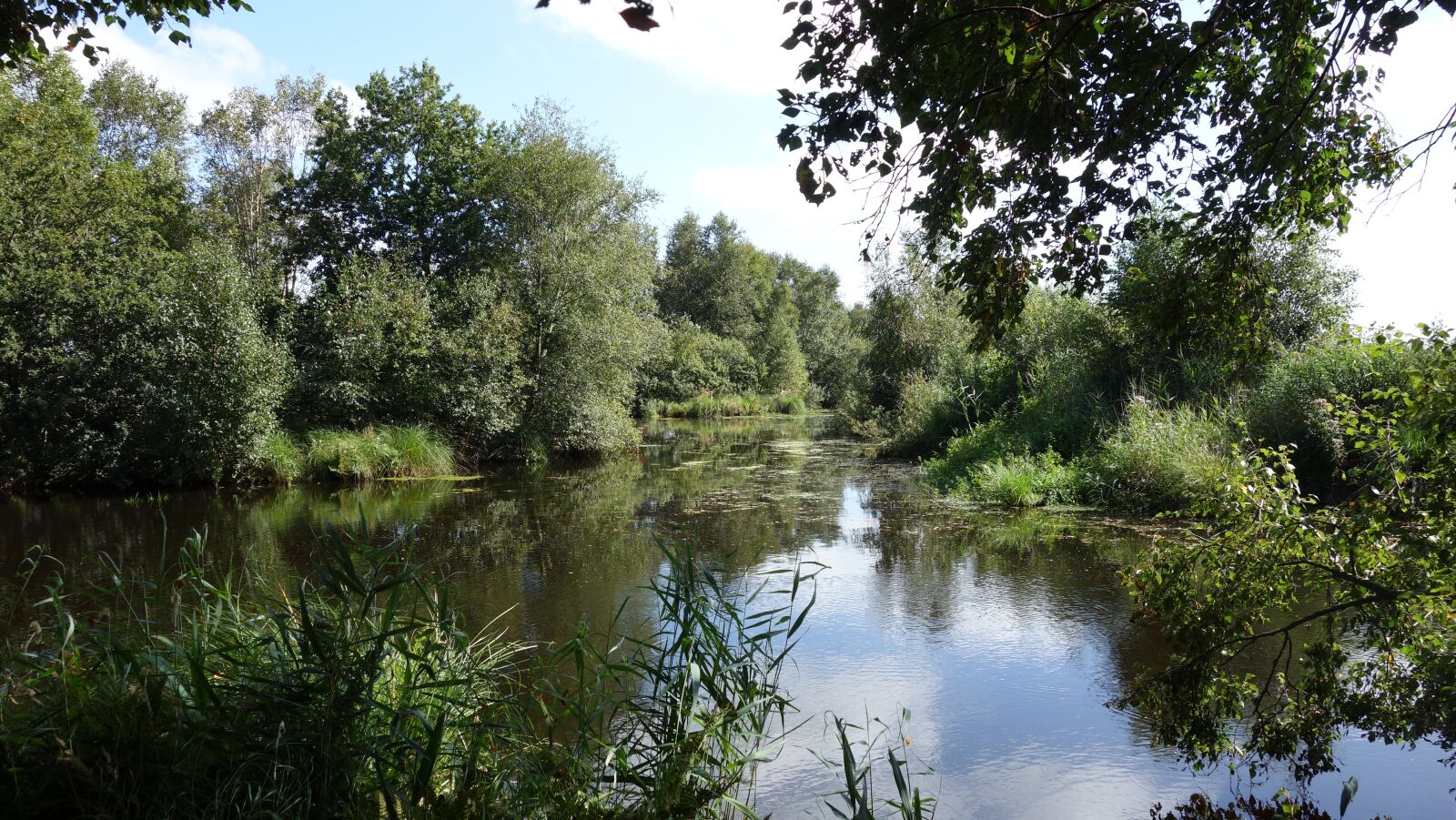 Sony Cyber-shot DSC-RX100 sample photo. Water, nature, landscape photography
