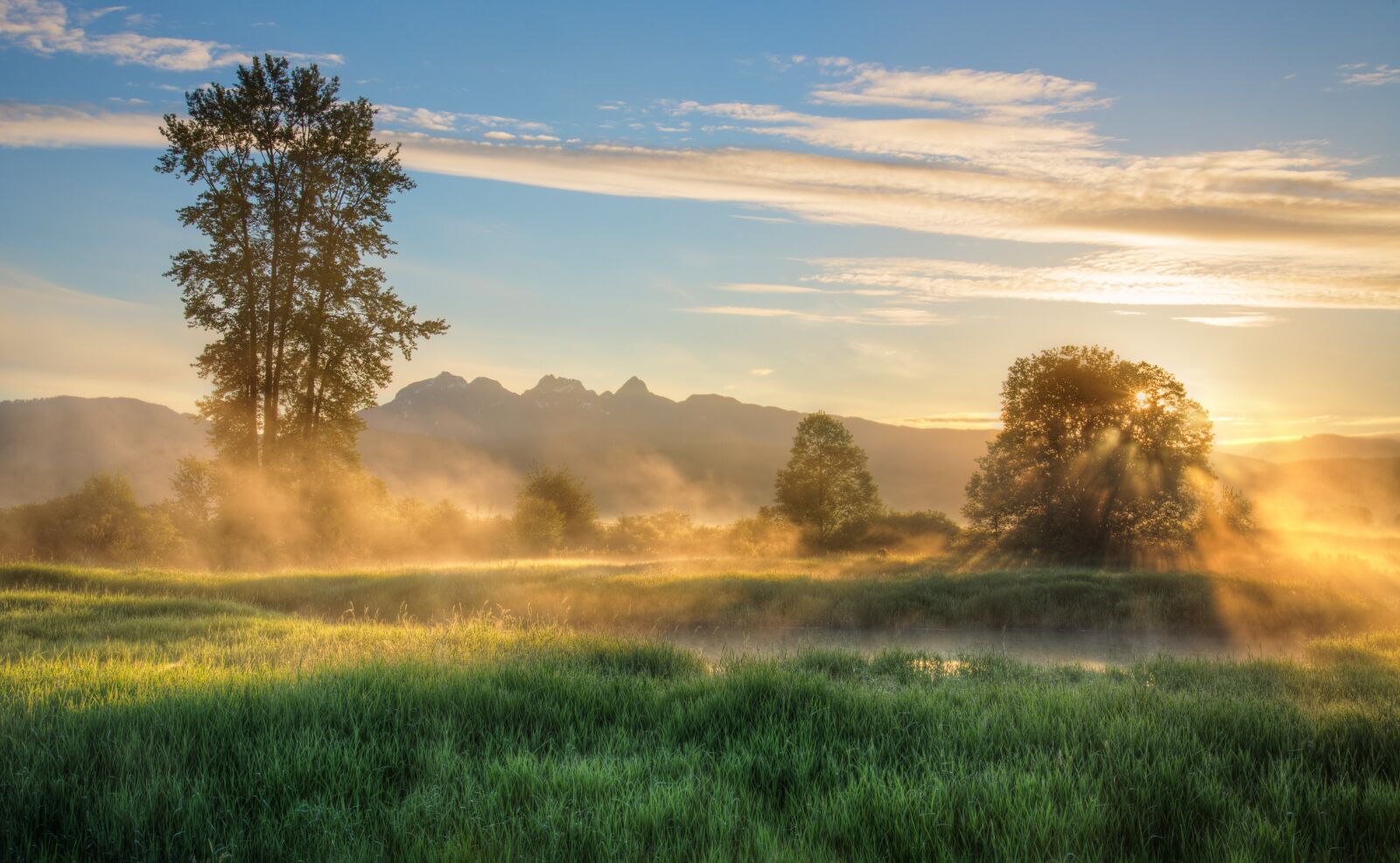Nikon D600 sample photo. British columbia, canada, fog photography