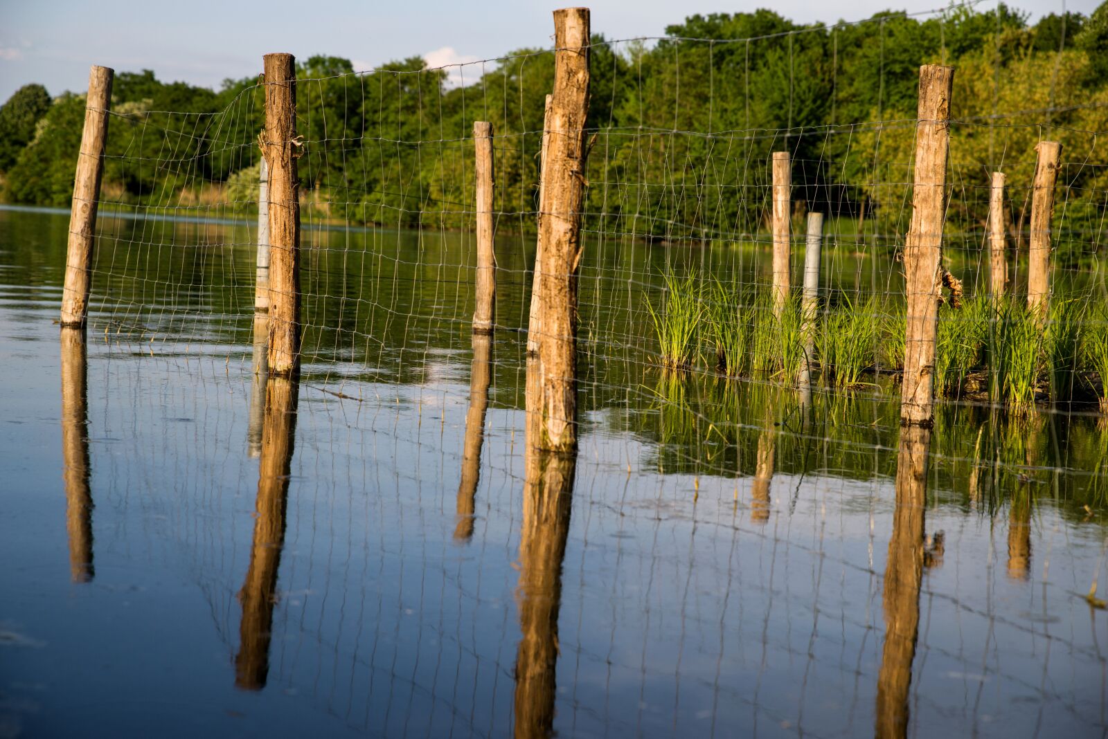 Pentax K-1 Mark II sample photo. Lake, bars, fence photography