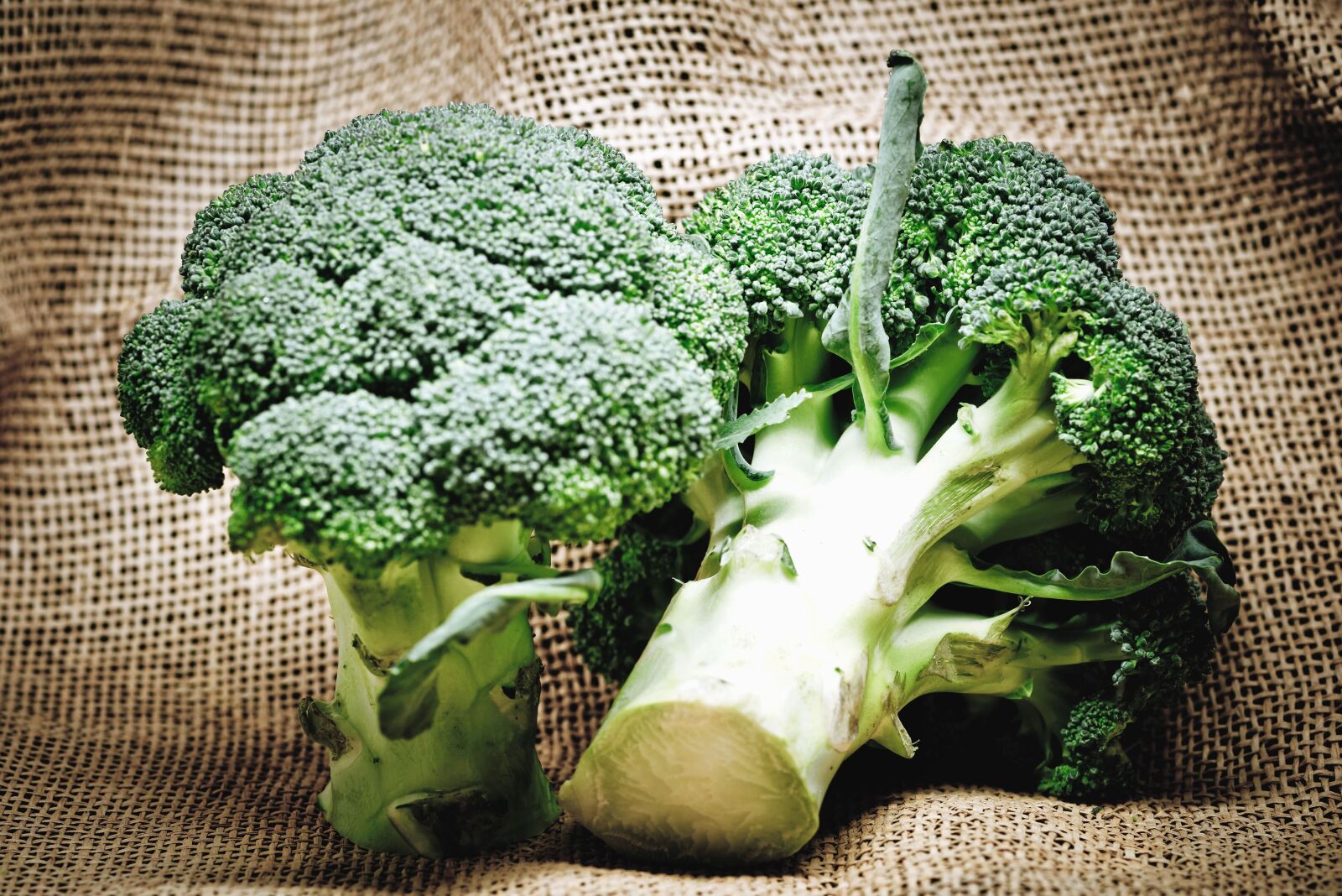 Nikon D800 sample photo. Broccoli, vegetable, plant, food photography