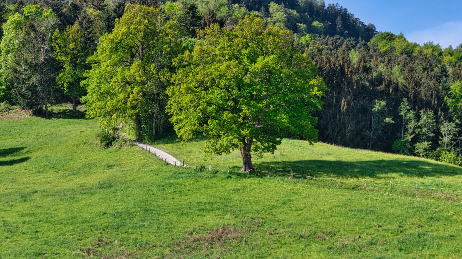 Nikon D7500 sample photo. Away, lane, landscape photography