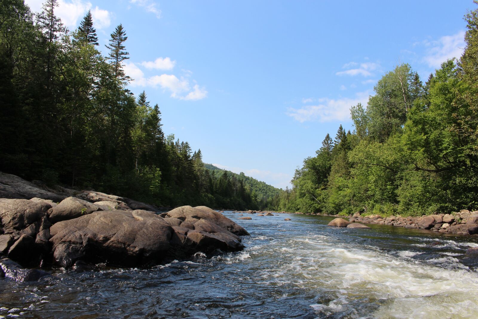 Canon EOS 100D (EOS Rebel SL1 / EOS Kiss X7) sample photo. River, forest, canada photography
