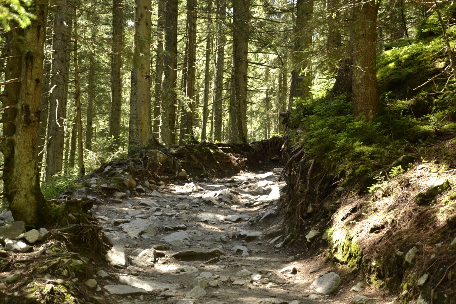 Nikon D3100 sample photo. Mountains, buried, valley of photography