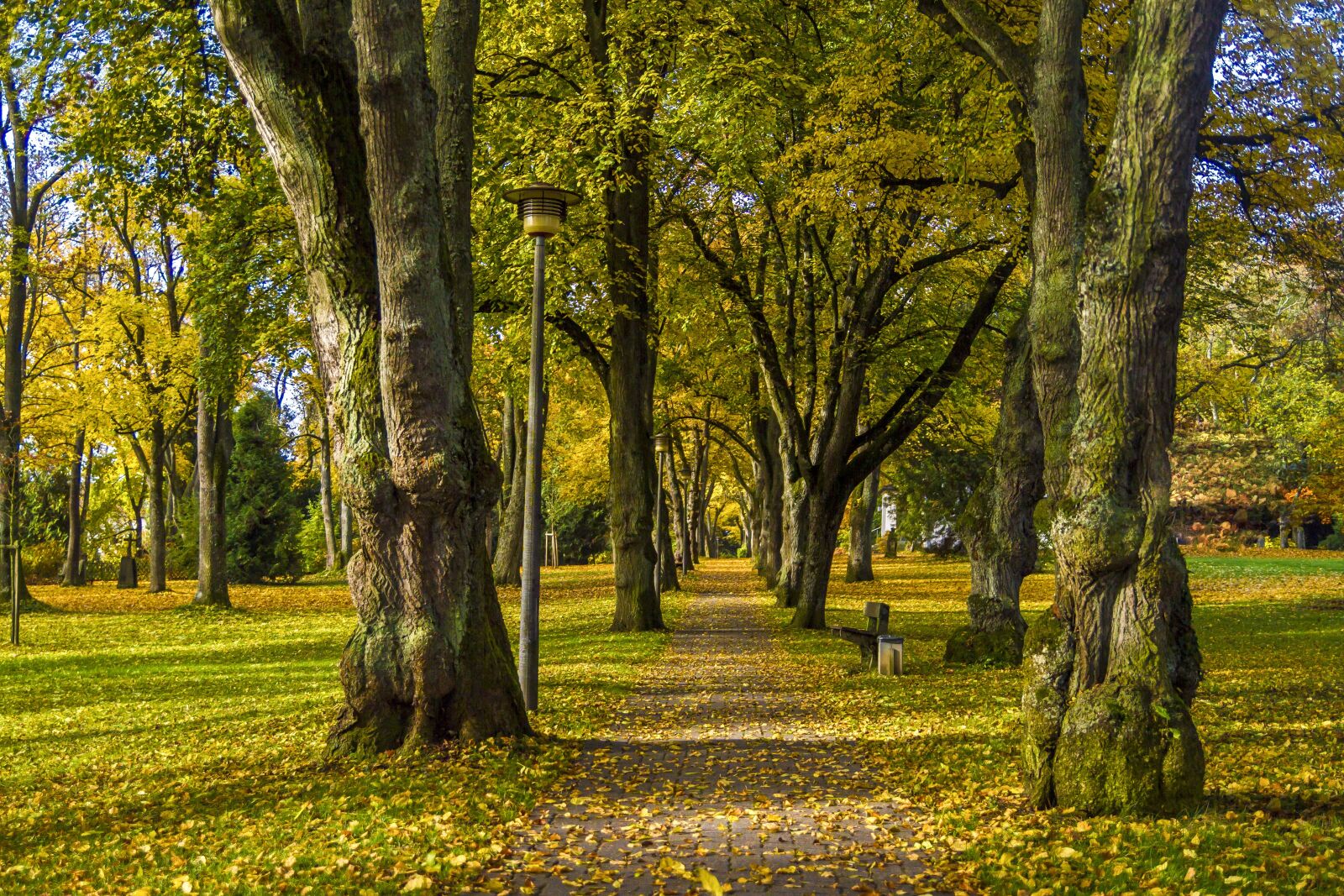 Canon EOS 7D sample photo. Autumn, rest, loneliness photography