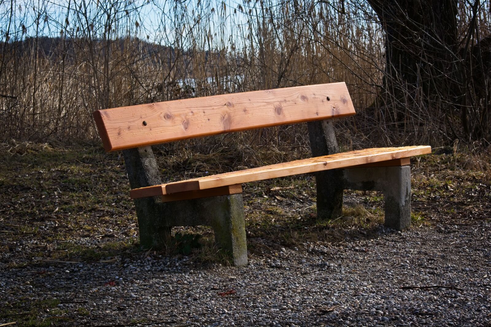 Nikon D7100 sample photo. Bench, bank, sit photography
