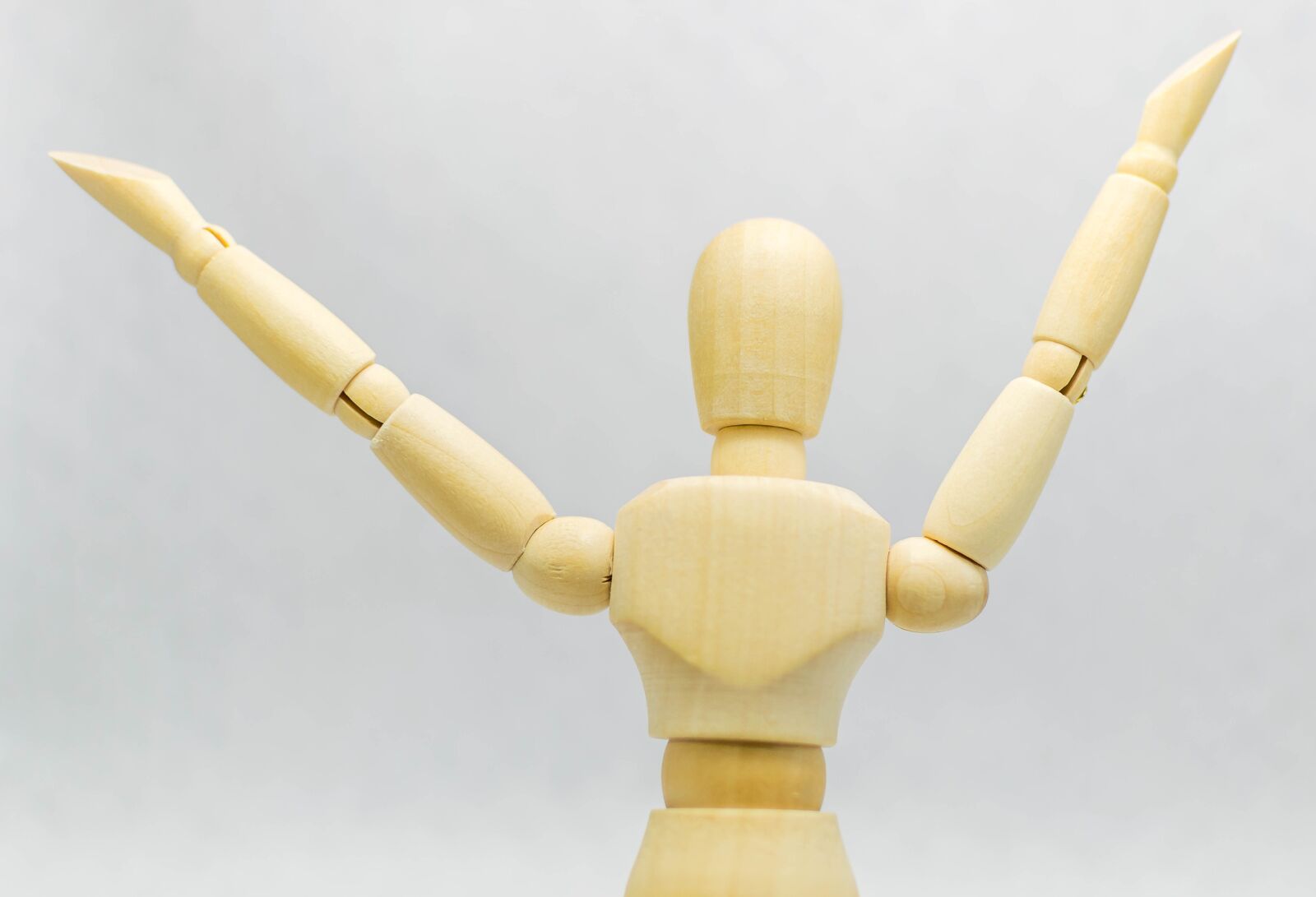 Nikon D5300 sample photo. Mannequin, wood, figure photography