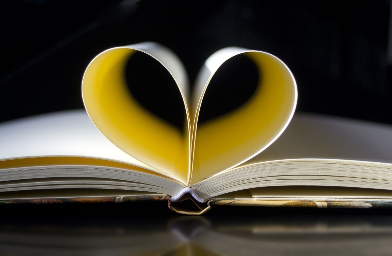Nikon D3100 sample photo. Address book, notebook, book photography