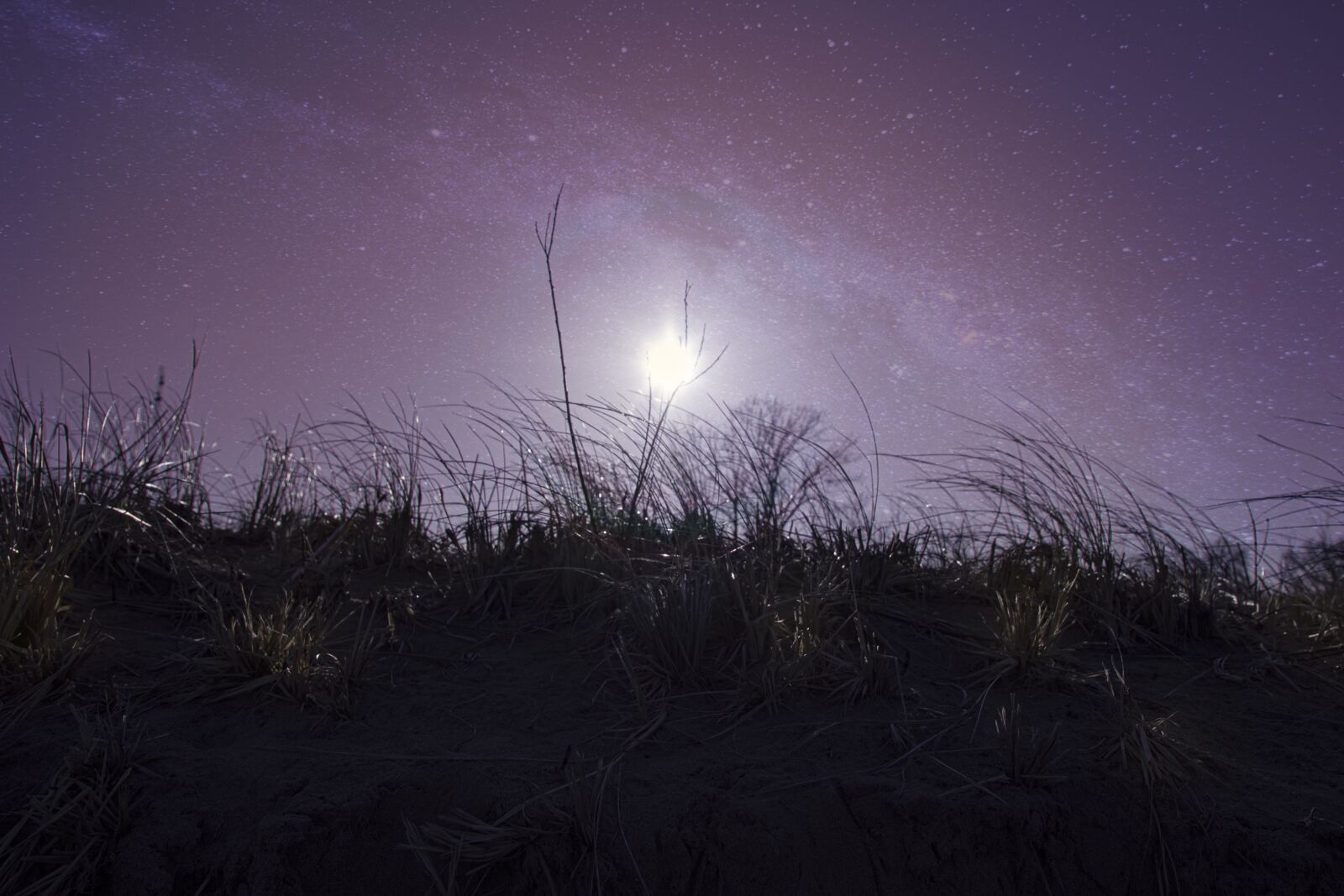Nikon D5500 sample photo. Night, nightsky, silhouette photography