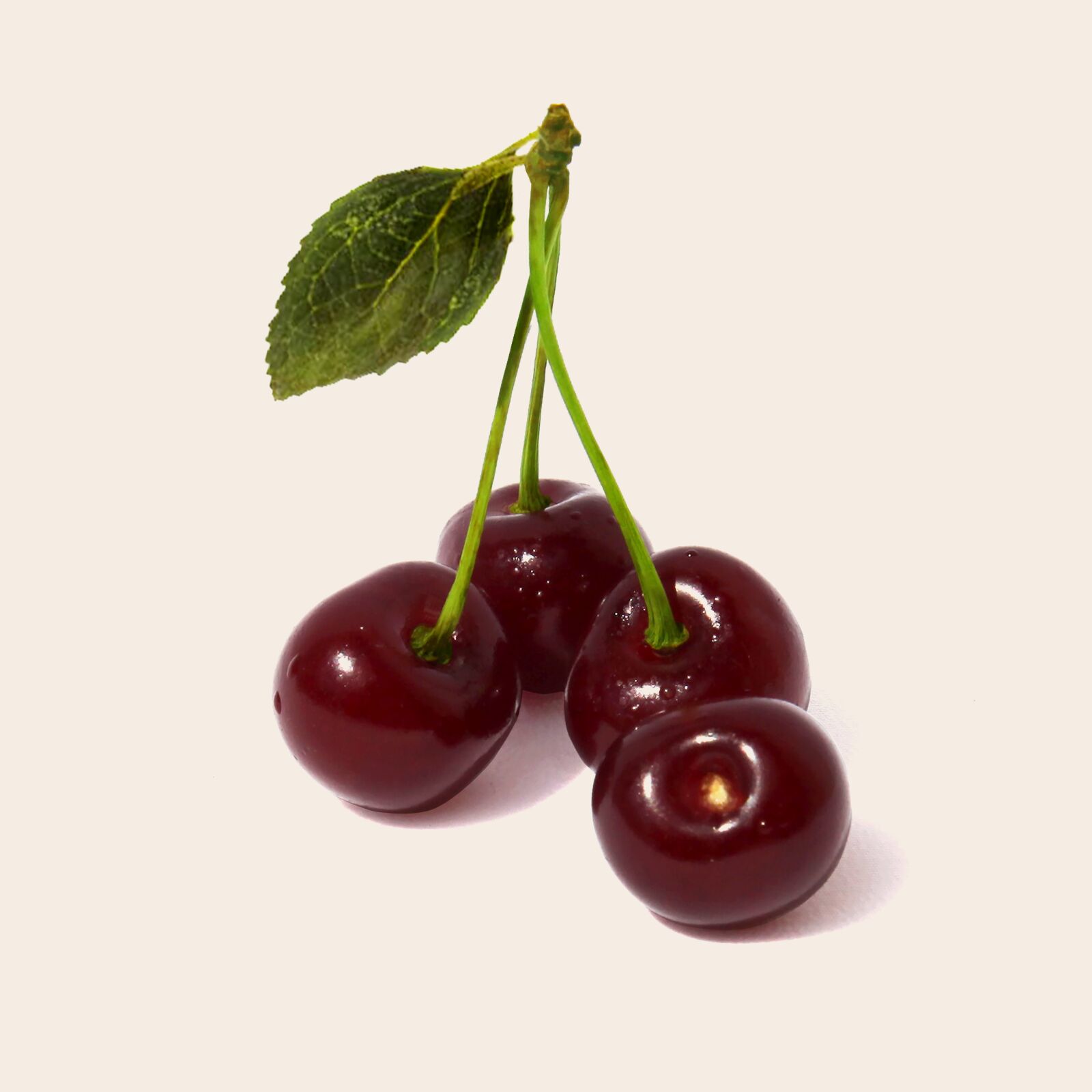Canon EOS 5D Mark II sample photo. Sour cherry, fruit, health photography