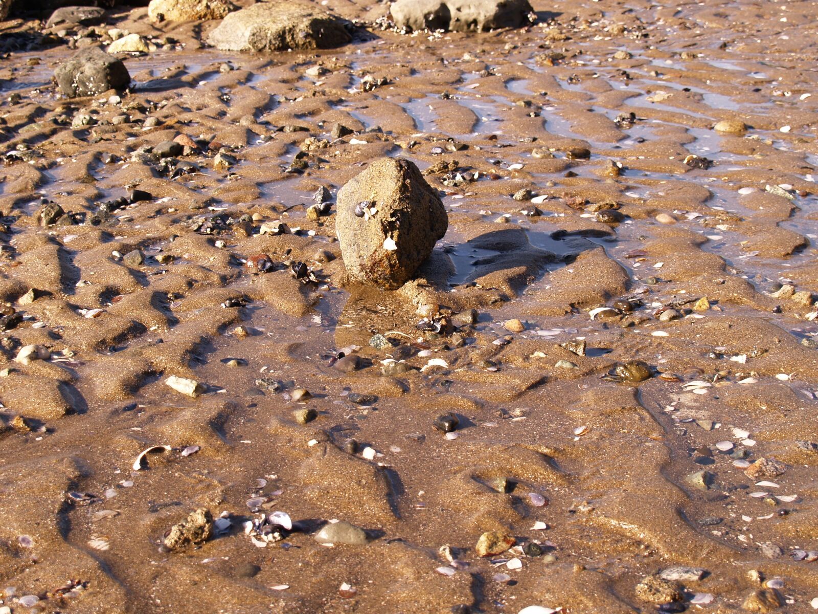Olympus E-500 (EVOLT E-500) sample photo. Rock, sand, beach photography