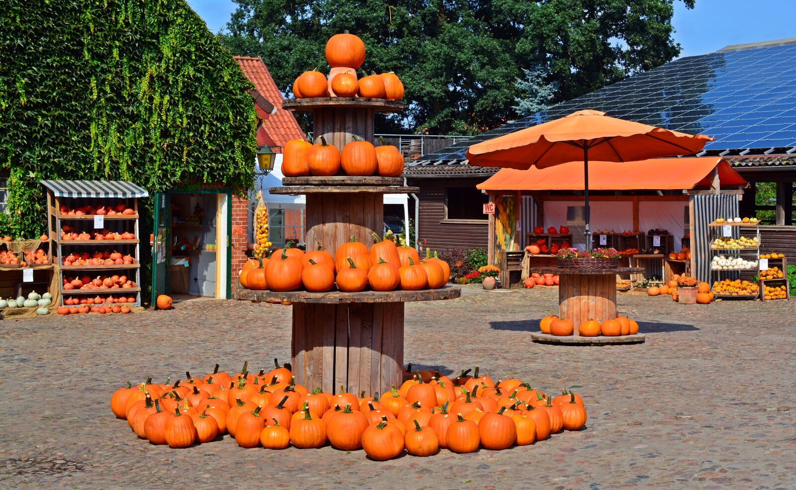 Nikon D5200 sample photo. Pumpkin, harvest time, sale photography