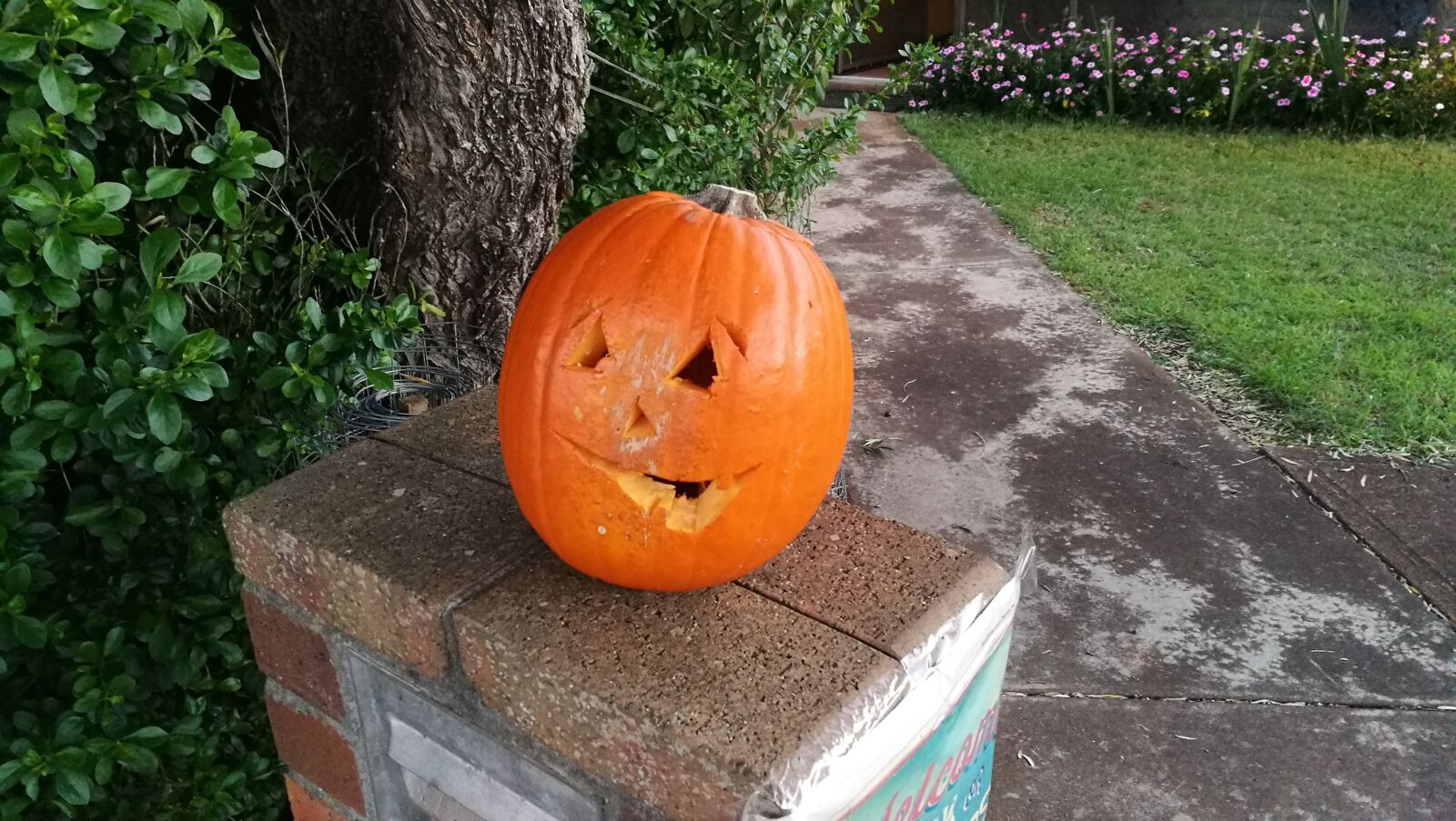 HUAWEI P9 sample photo. Halloween, pumpkin, jack-o-lantern photography