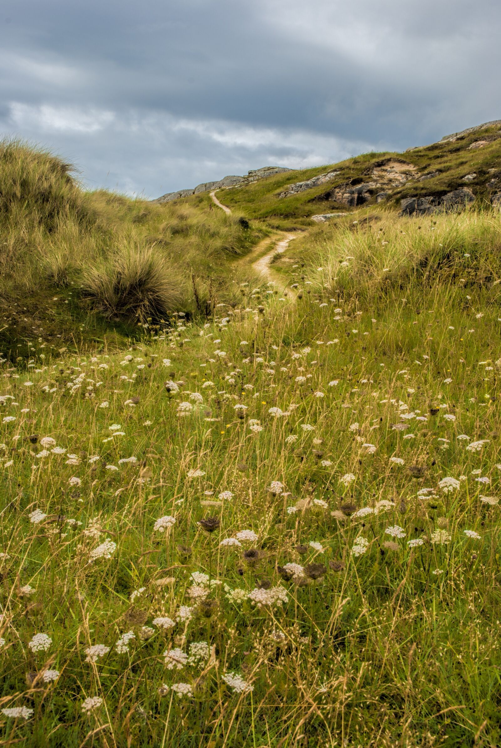 Nikon D80 sample photo. Lochinver, coast, scotland photography