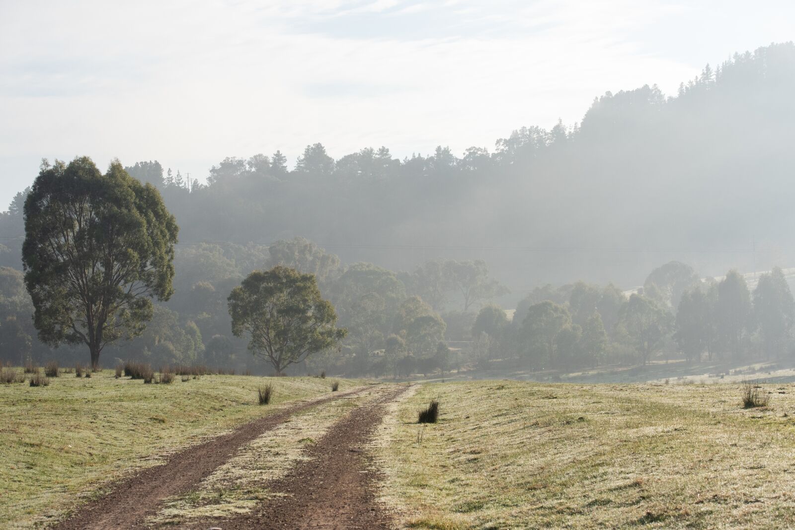 Nikon D750 sample photo. Country, road, track photography