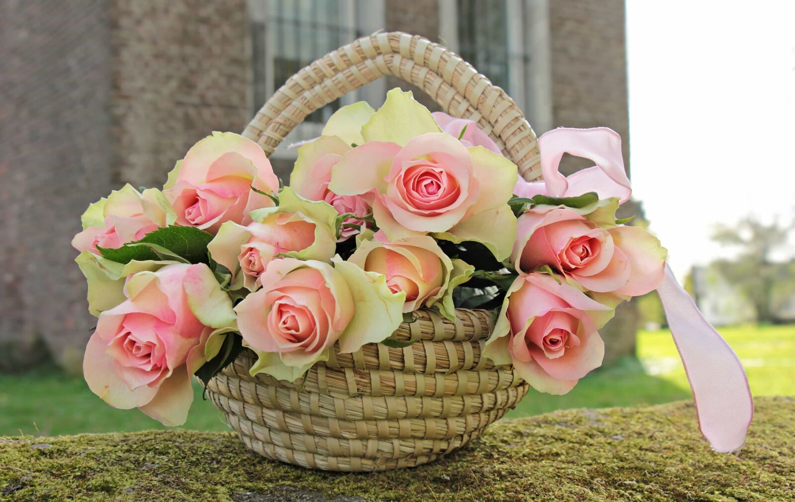 Canon EOS 550D (EOS Rebel T2i / EOS Kiss X4) sample photo. Flower, nature, basket, rattan photography