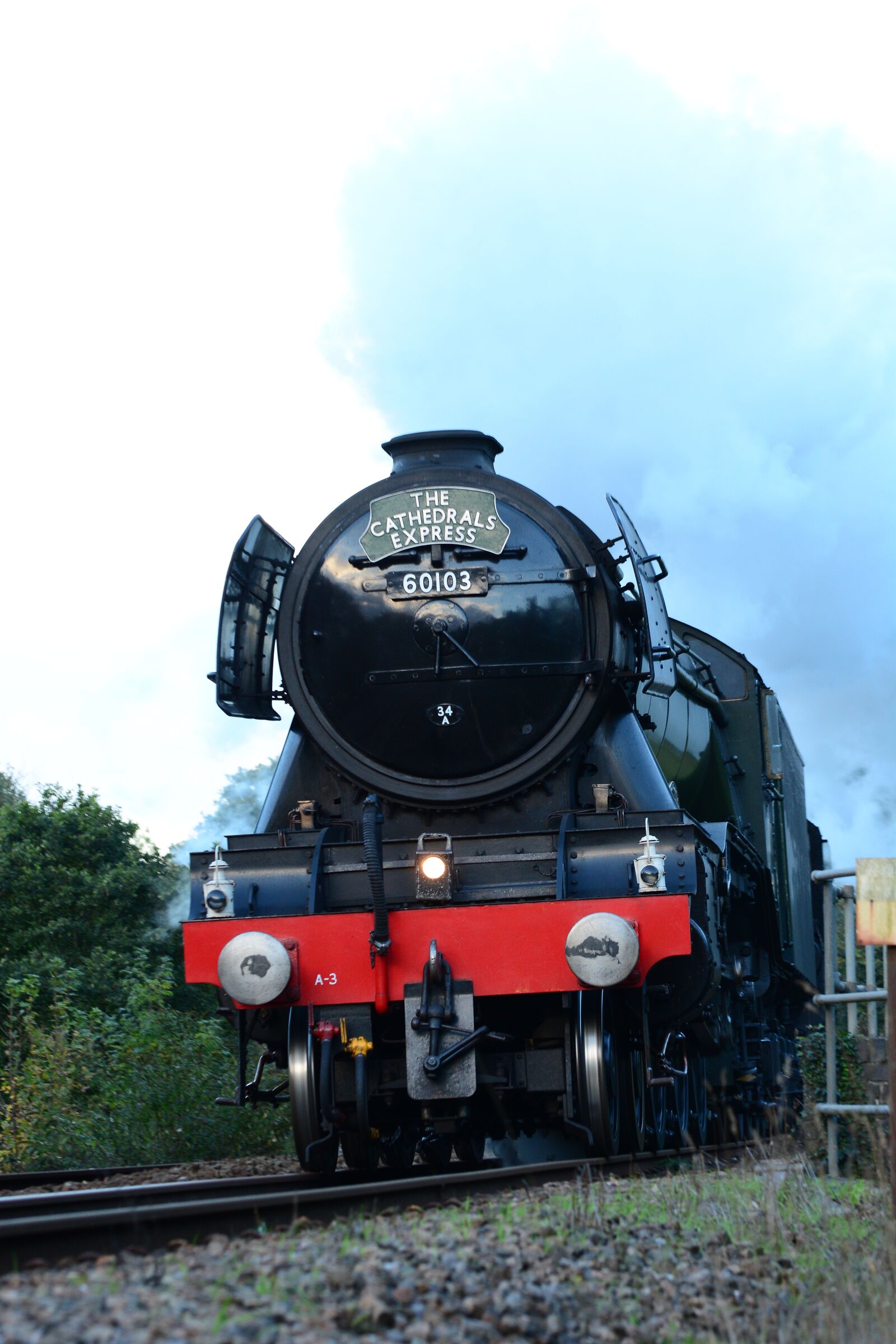 Nikon D7100 sample photo. Flying, scotsman, train photography