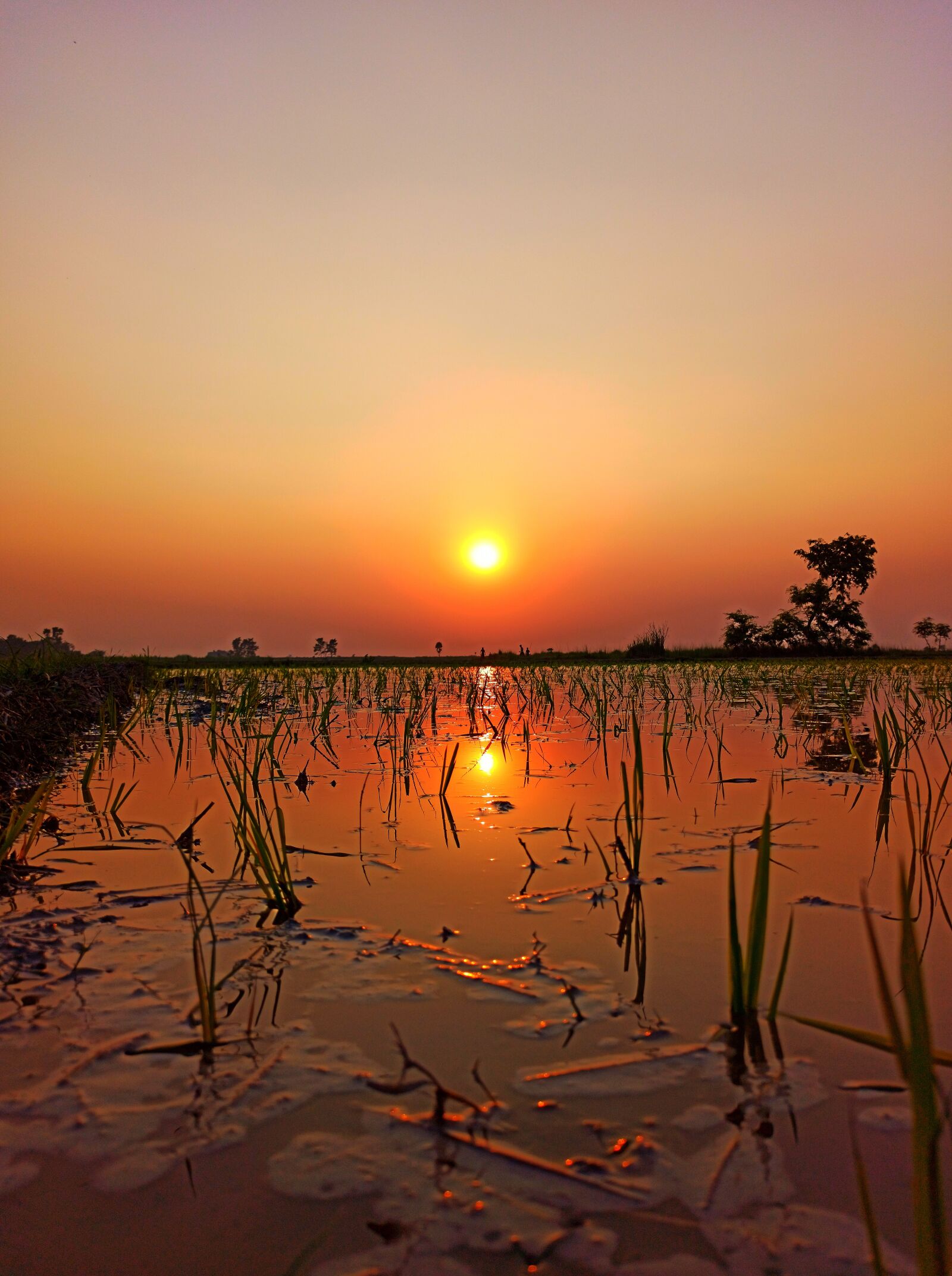 Xiaomi Redmi Note 8 Pro sample photo. Sunset, evening, water photography
