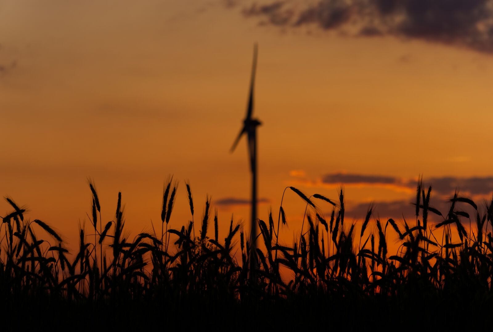 Sony a6000 sample photo. Sunset, pinwheel, environmental technology photography