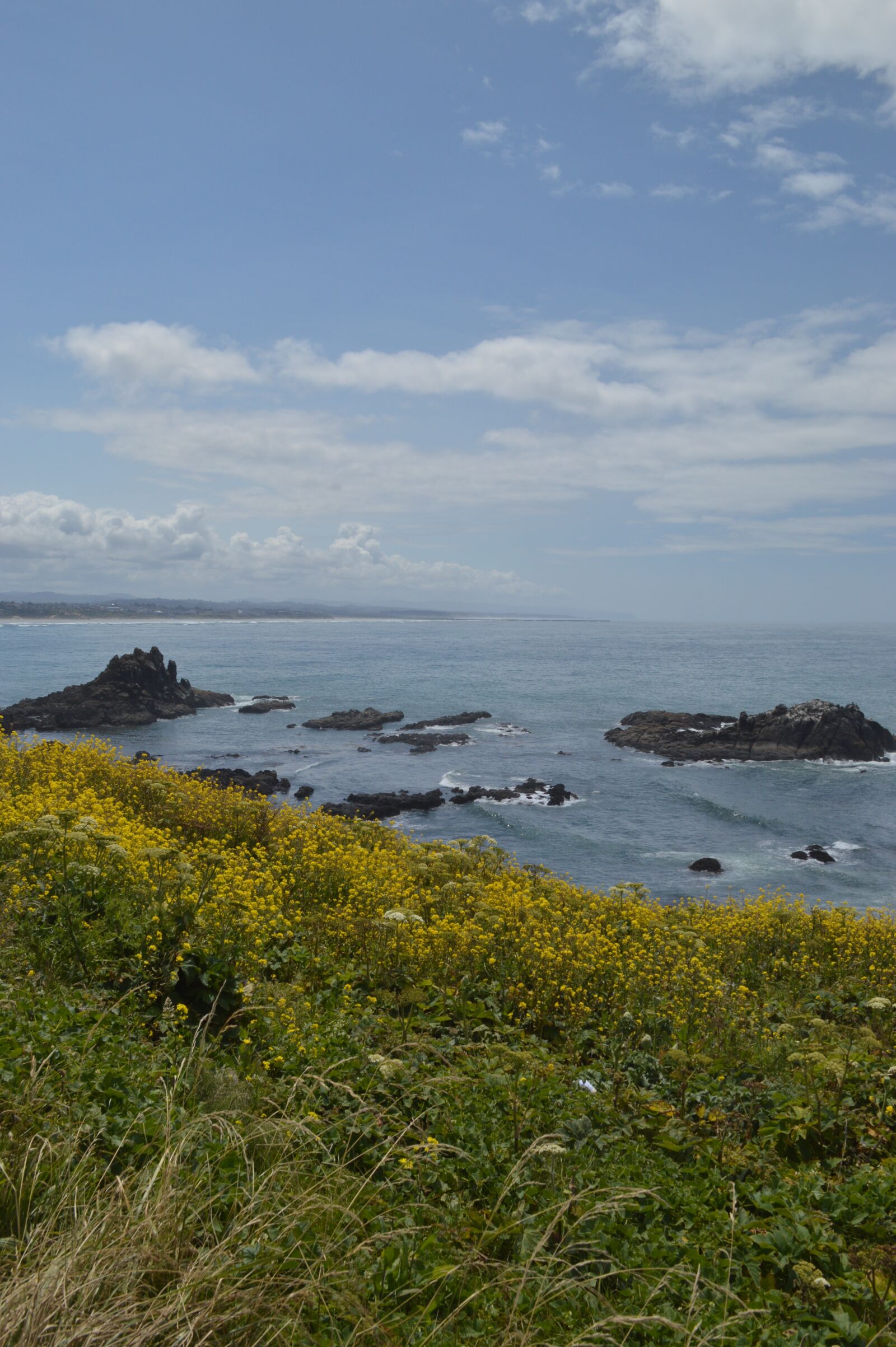 Nikon D3200 sample photo. Coast, lighthouse, wildflowers photography