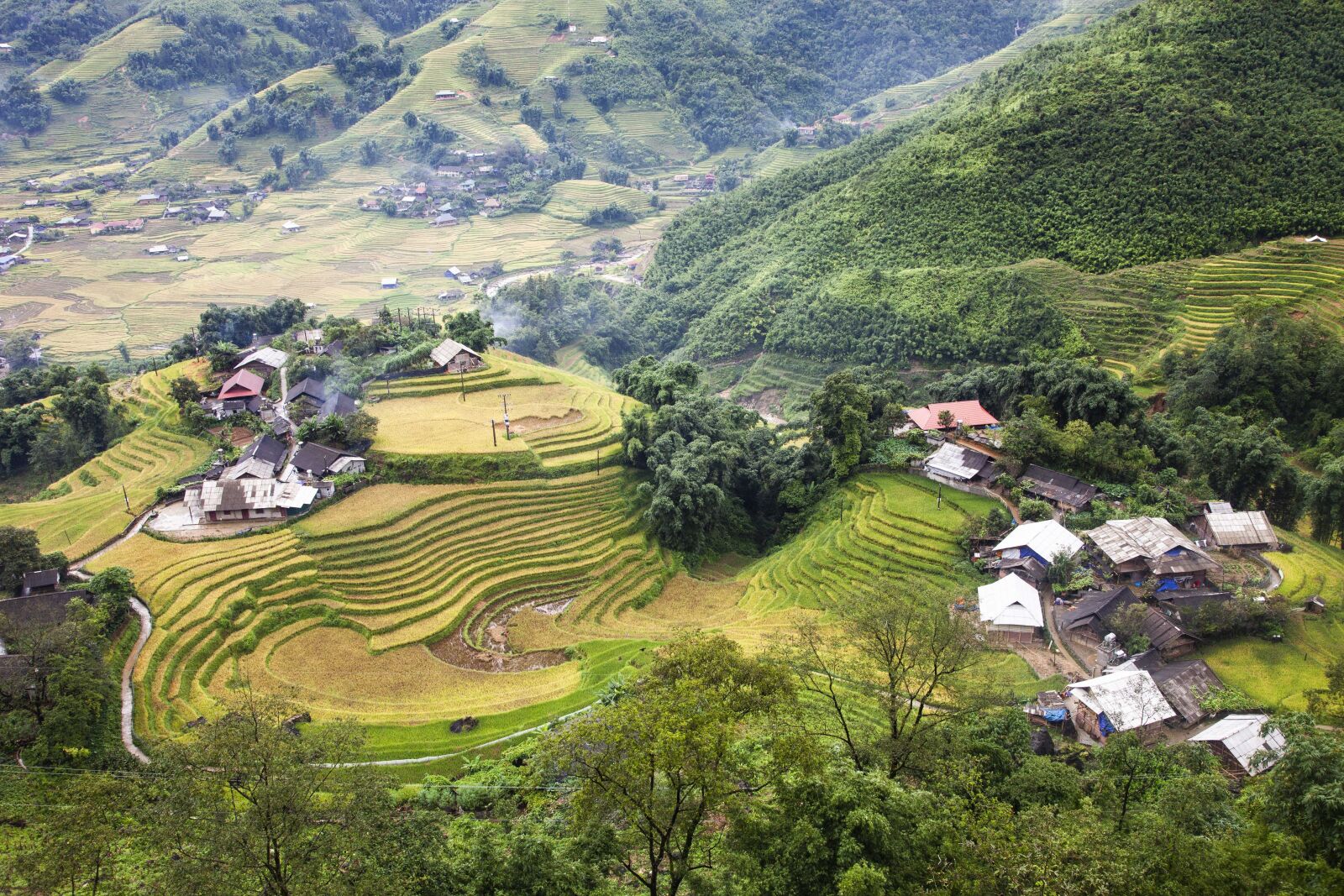 Canon EOS 5D Mark II sample photo. Rice field, mountain, landscape photography