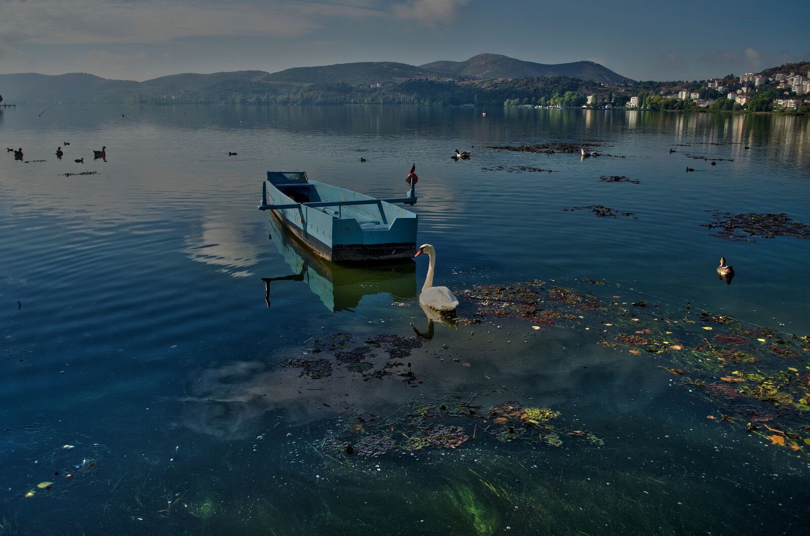 Nikon D5100 sample photo. Lake, boat, swan photography