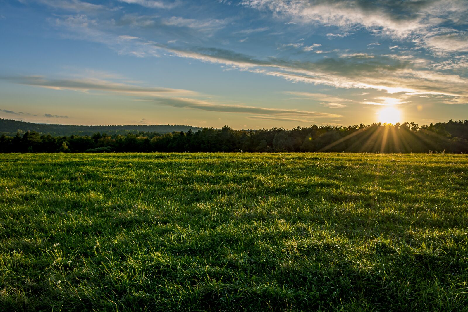 Nikon D7100 sample photo. Field, sunset, countryside photography