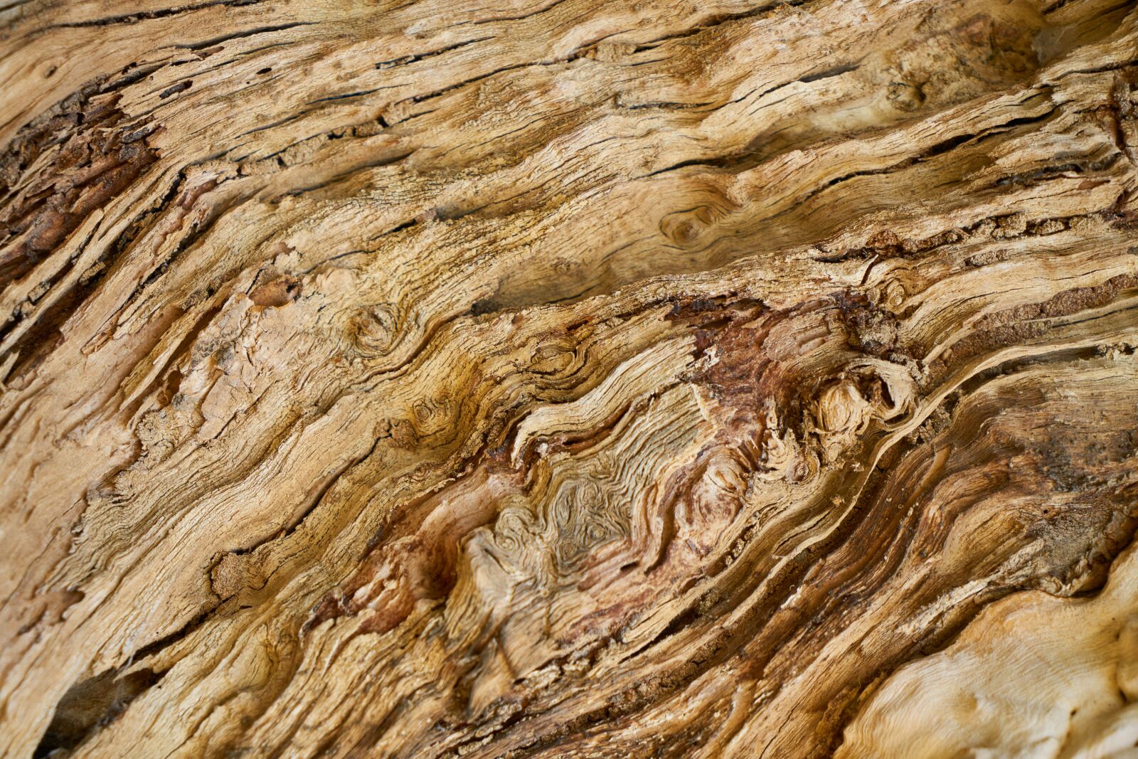 Sony a7R II sample photo. Wood, wood-fibre boards, timber photography