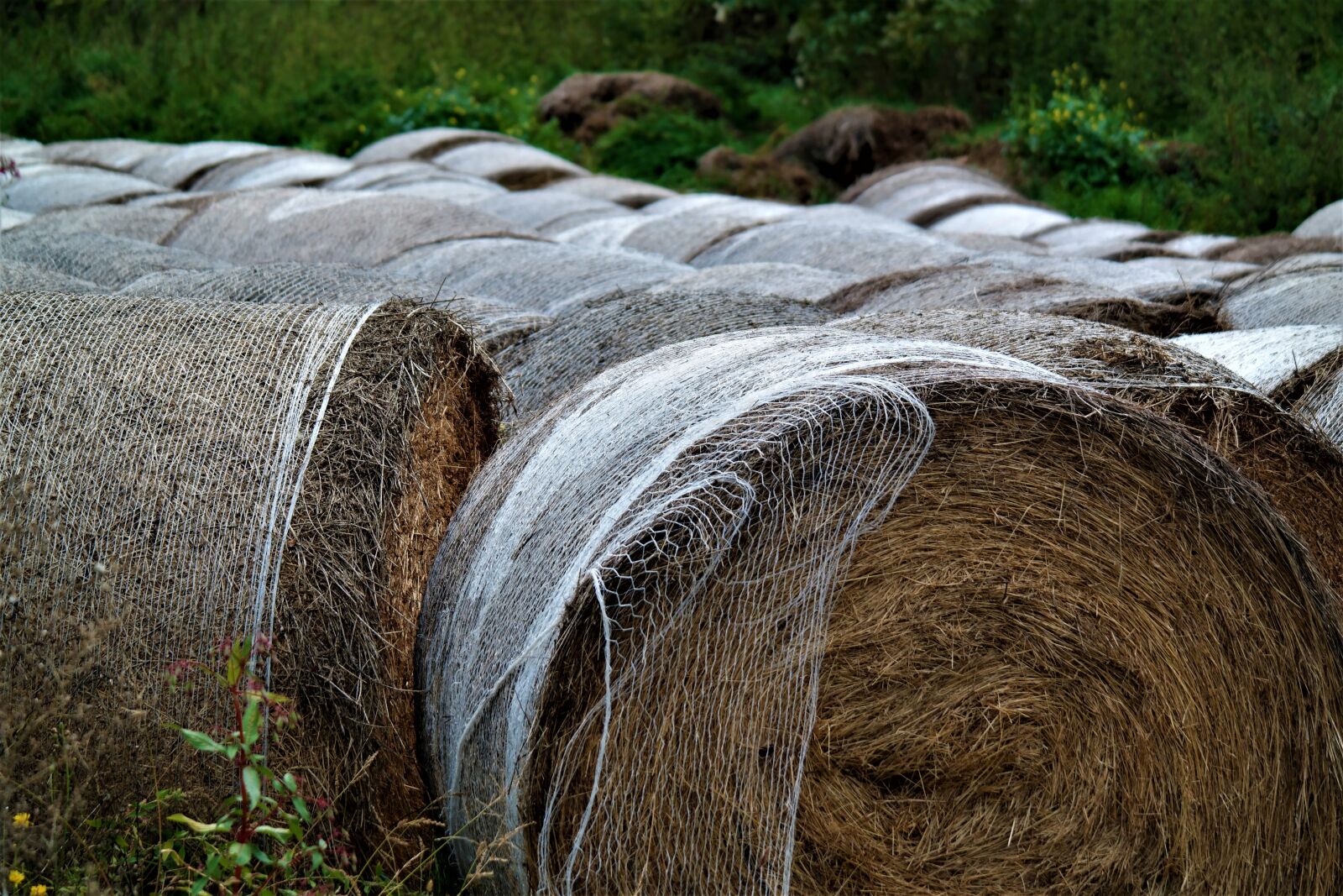 Samsung NX30 + NX 50-200mm F4-5.6 sample photo. Straw, bale, agriculture photography
