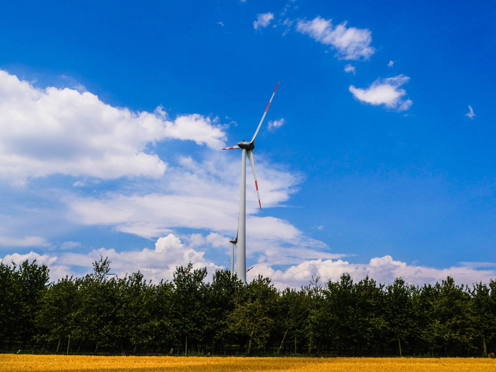 Panasonic Lumix G Vario 14-42mm F3.5-5.6 ASPH OIS sample photo. Pinwheel, clouds, nature photography