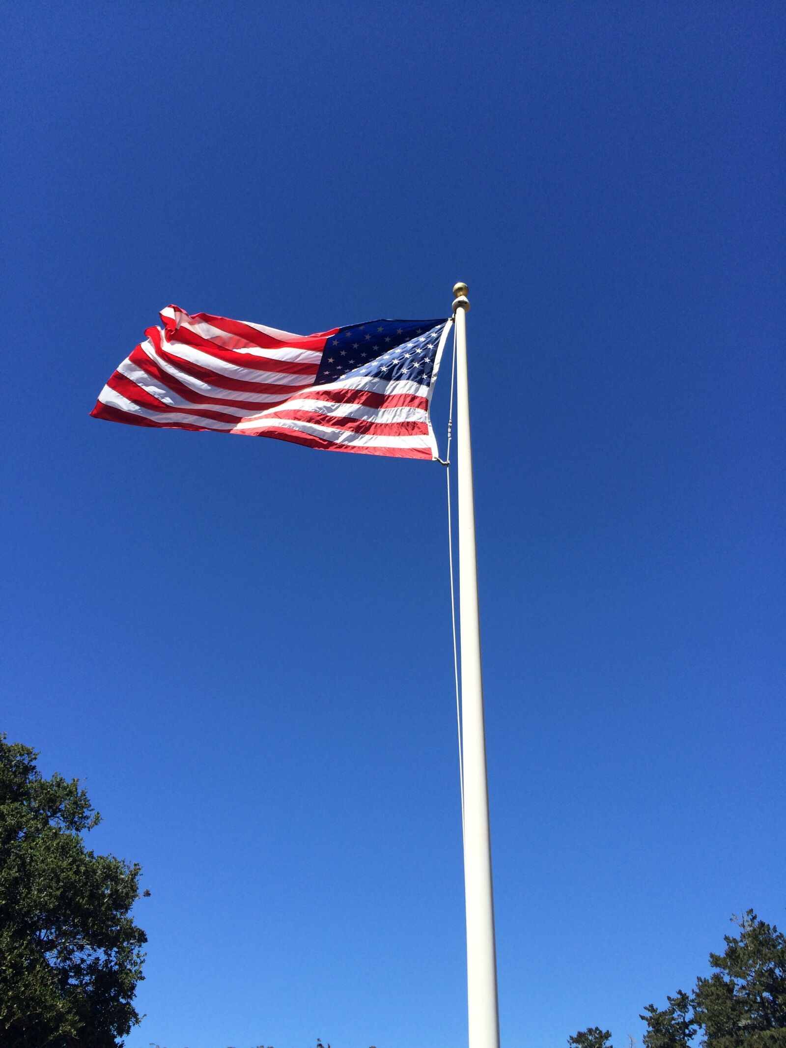 iPhone 5s back camera 4.15mm f/2.2 sample photo. American flag, usa, symbol photography