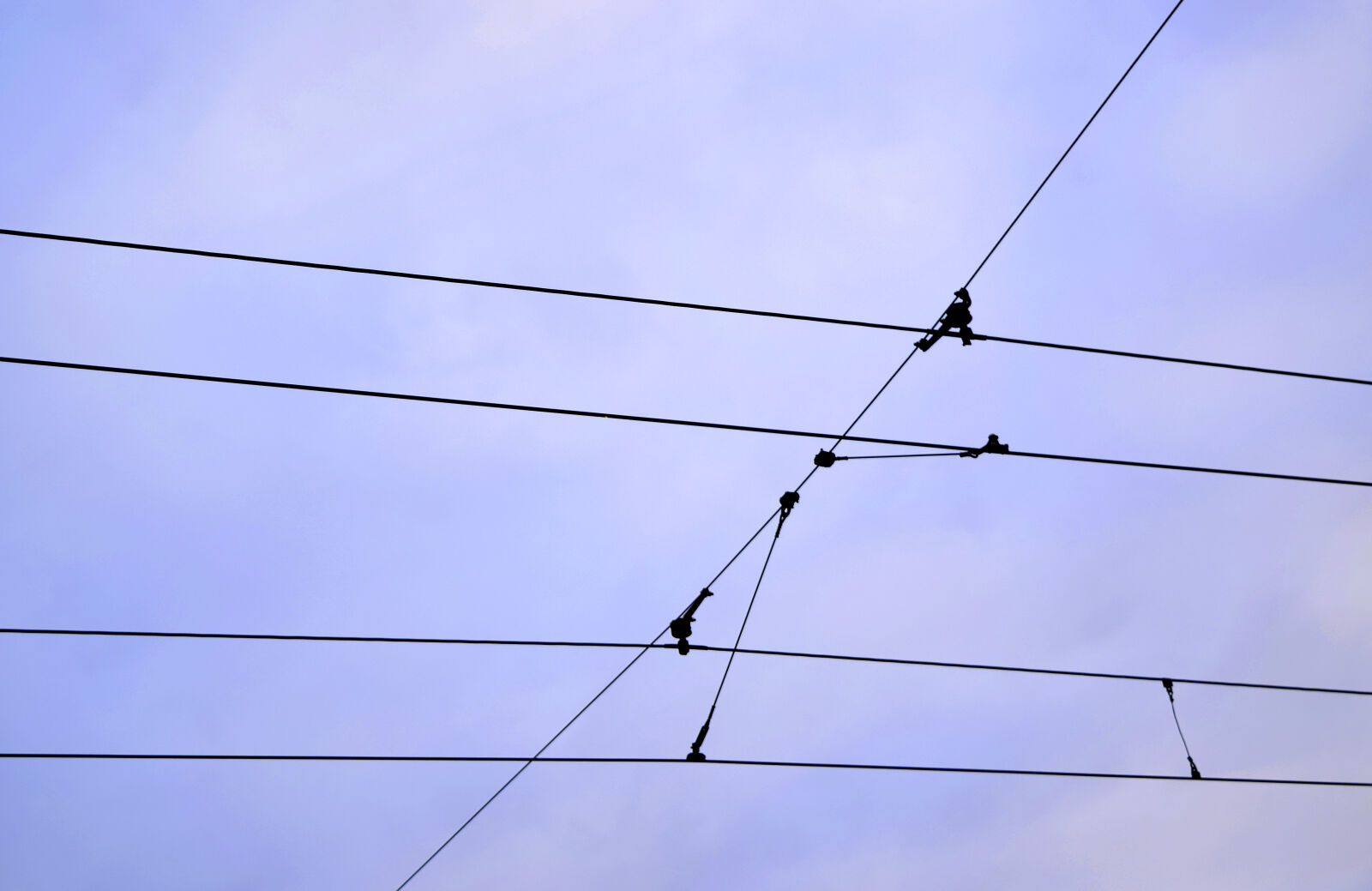 Nikon D3300 sample photo. Electric, wires, sky, tram photography