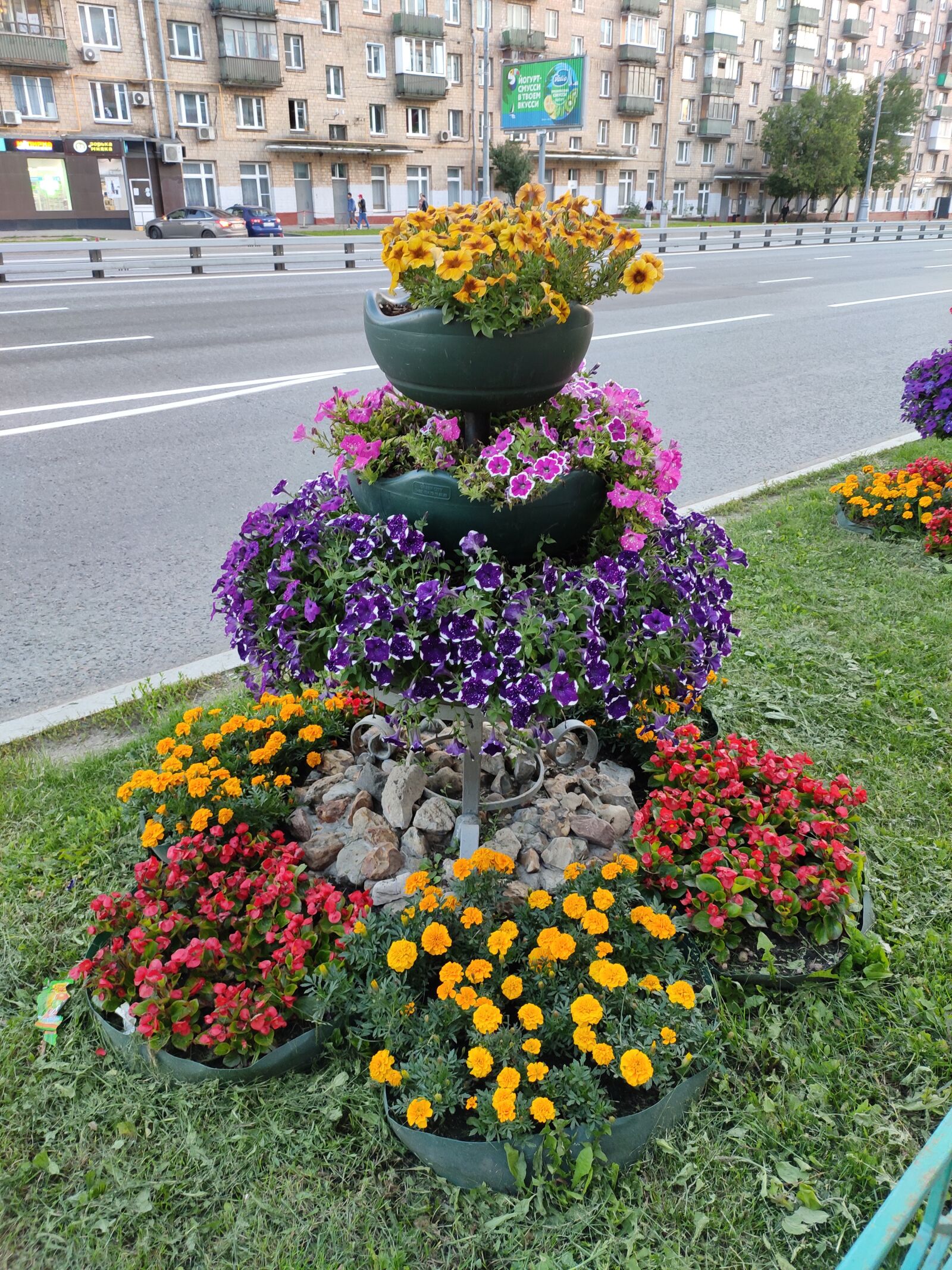 Xiaomi Redmi Note 7 Pro sample photo. Street flowers, home flowers photography