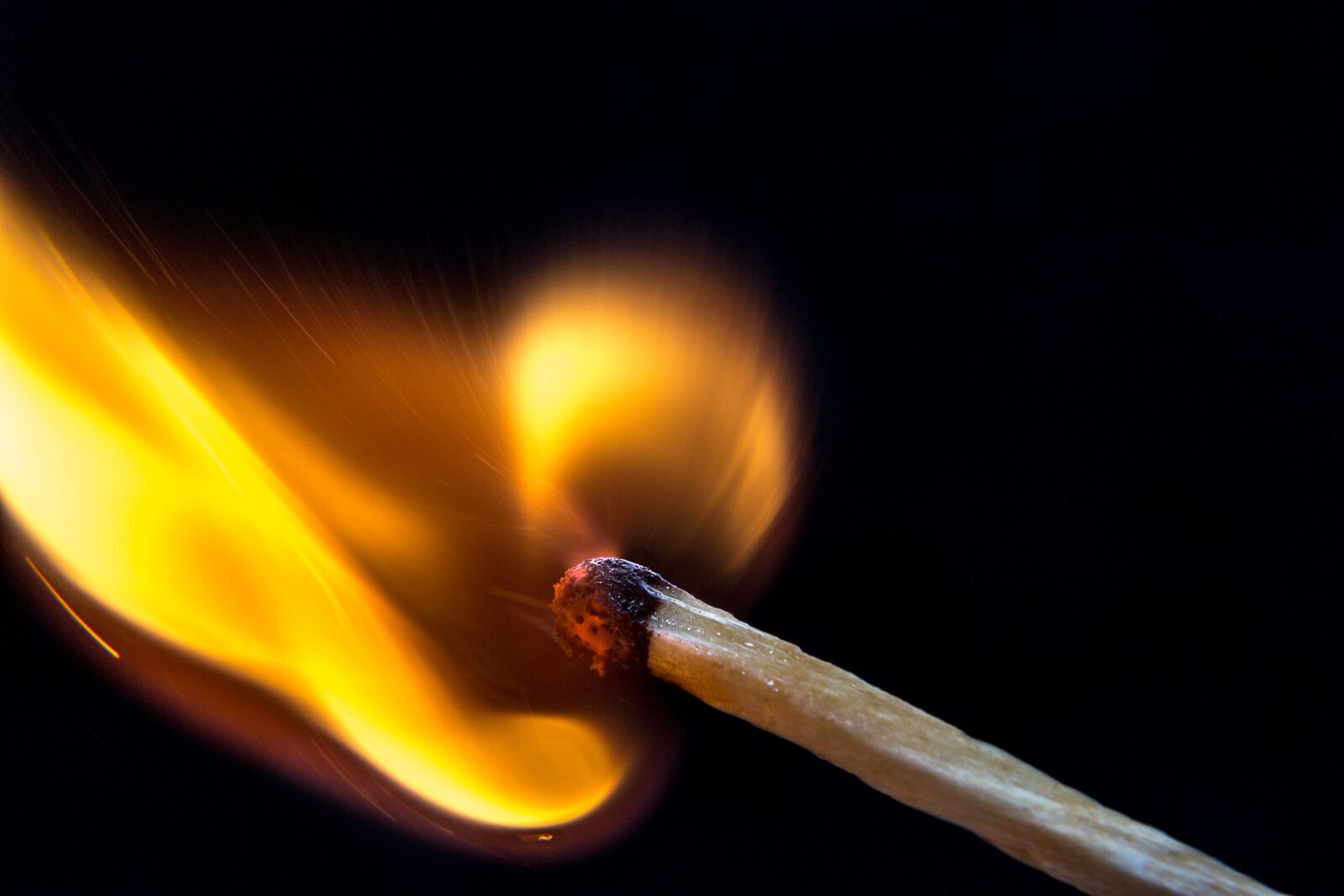 Nikon D3100 sample photo. Fire, match, light photography