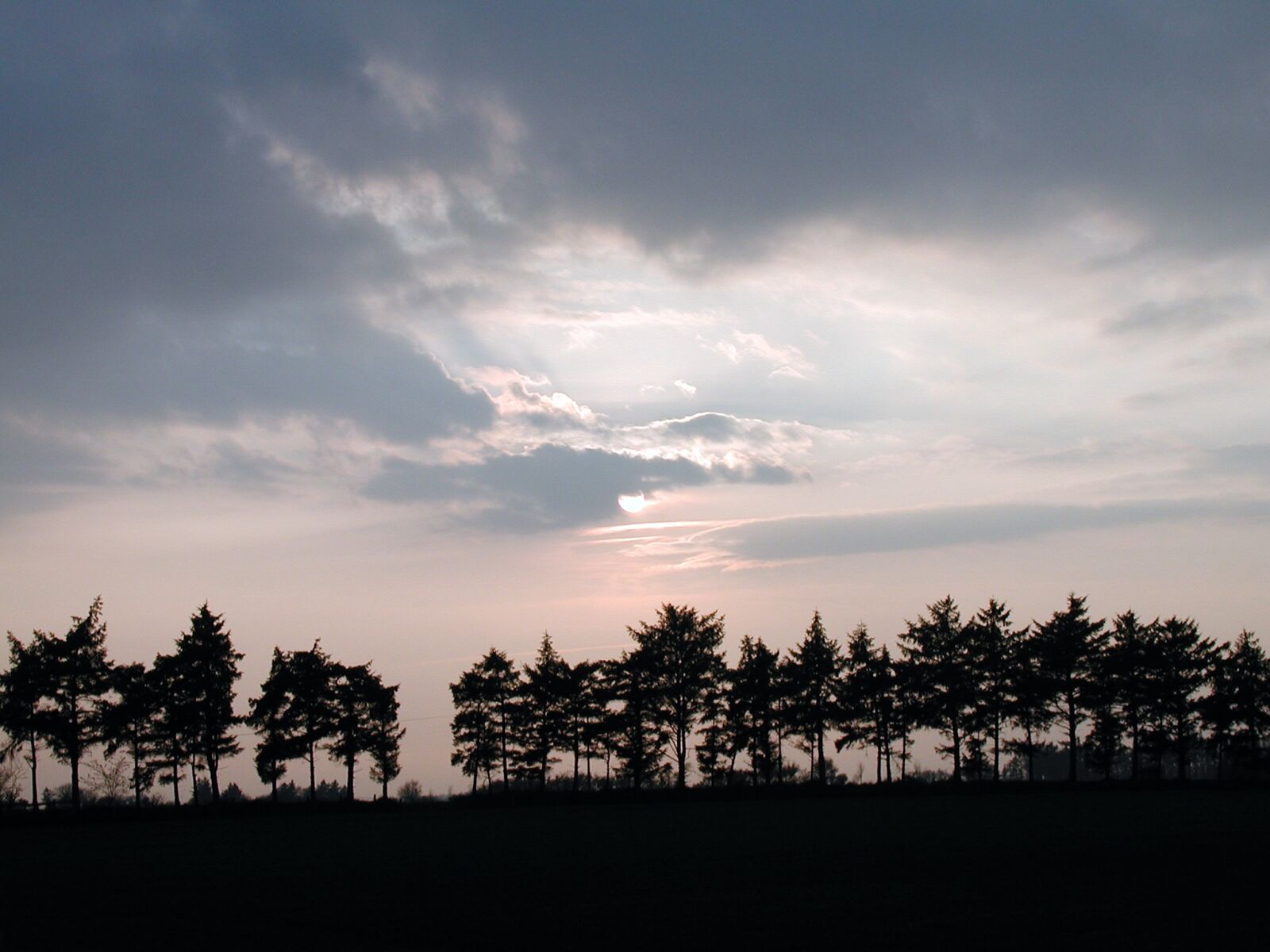 Olympus C3030Z sample photo. Glade, trees, evening sun photography
