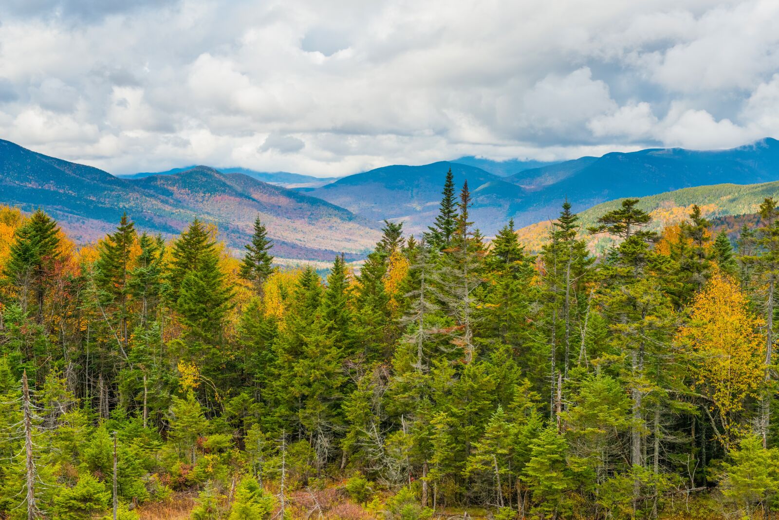 Nikon D800 sample photo. Mountains, trees, forest photography