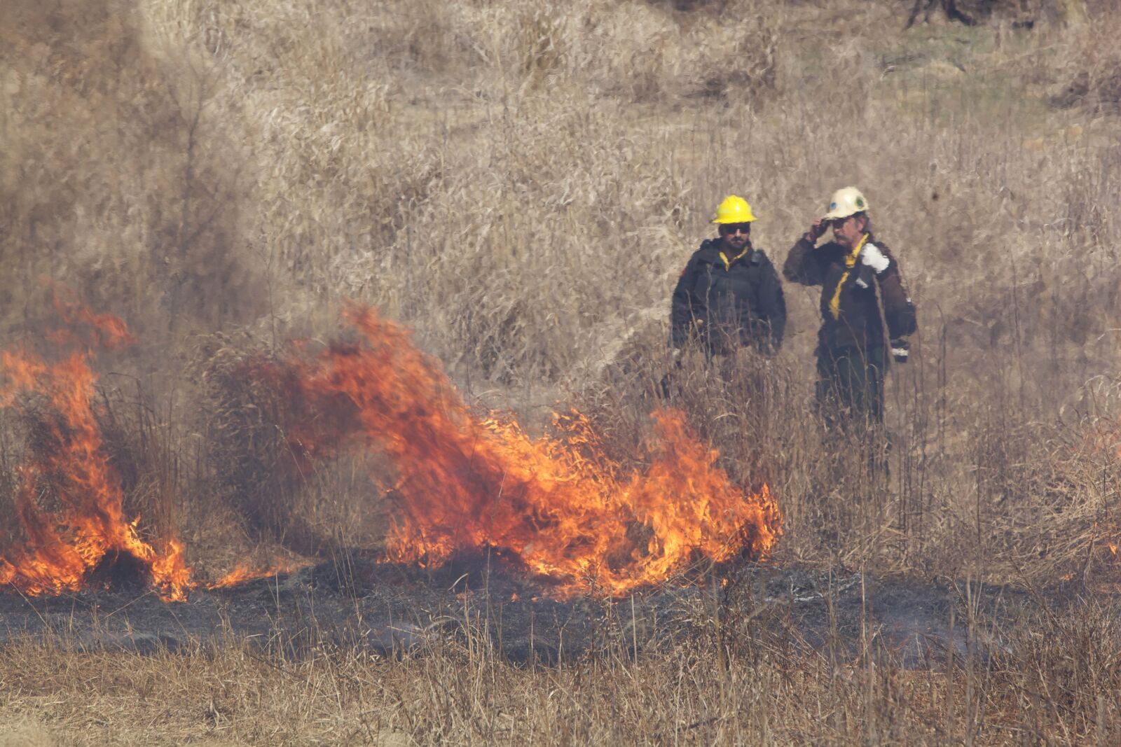 Canon EOS 5D Mark II sample photo. Firefighters, crew, fire, hill photography