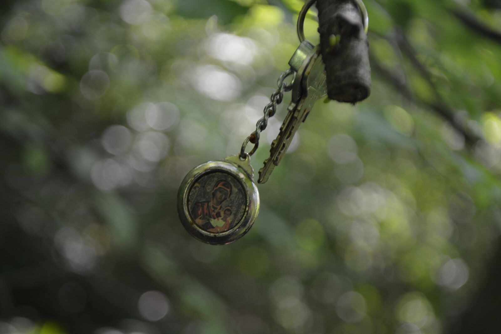 Nikon D7100 sample photo. Nature, art, virgin photography