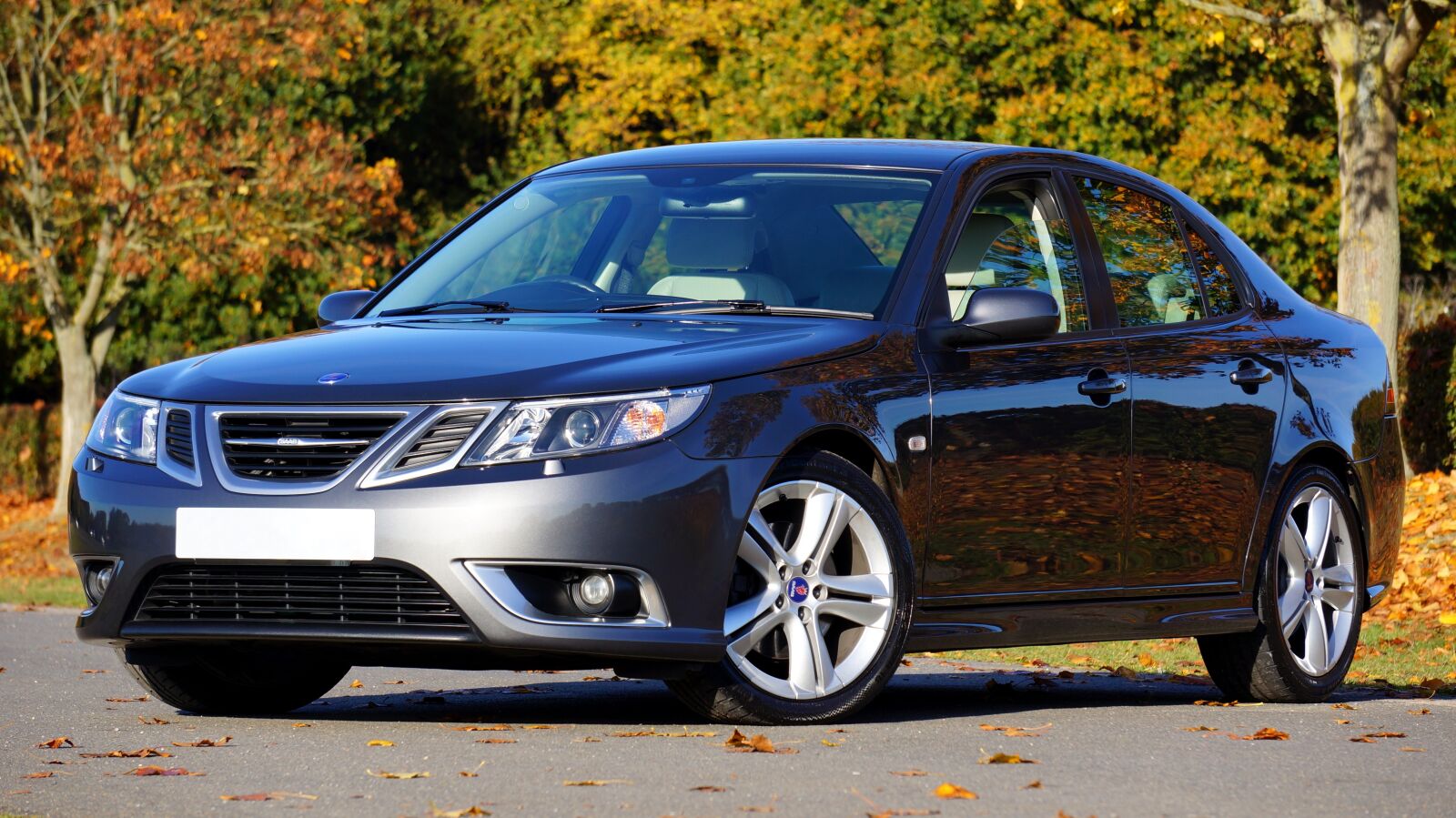 Sony Alpha NEX-5N + Sony E 55-210mm F4.5-6.3 OSS sample photo. Car, saab, automobile photography