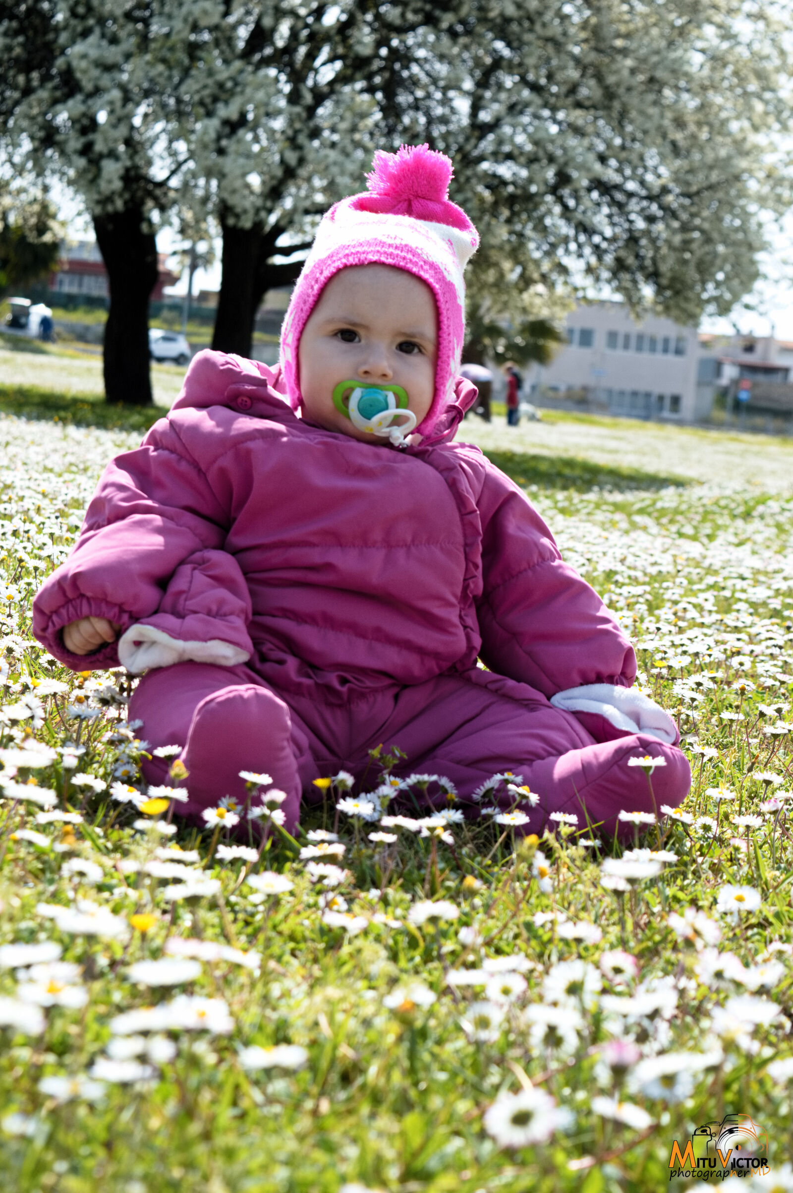 Nikon D3200 sample photo
