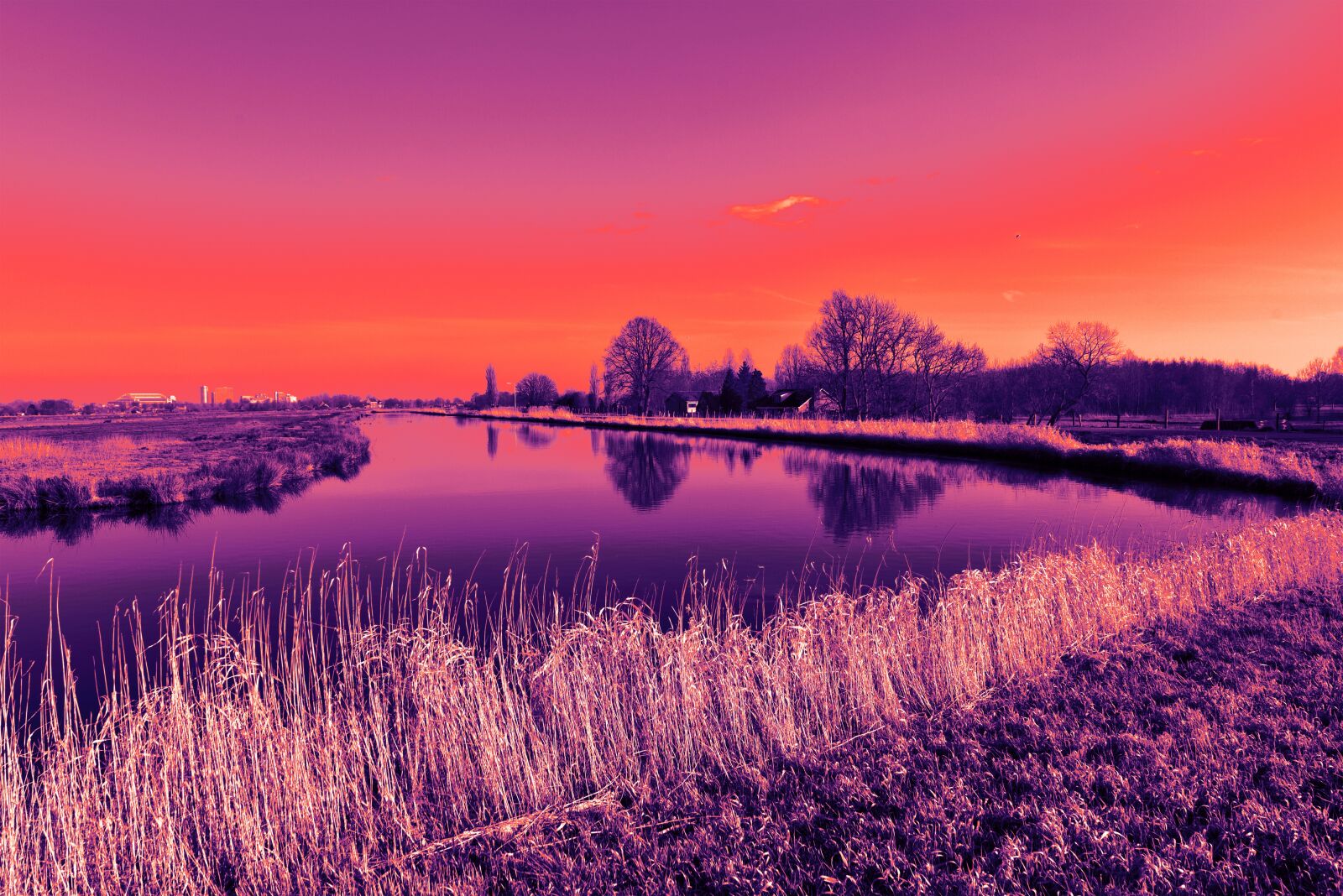 Nikon D750 sample photo. Landscape, dutch landscape, waterway photography