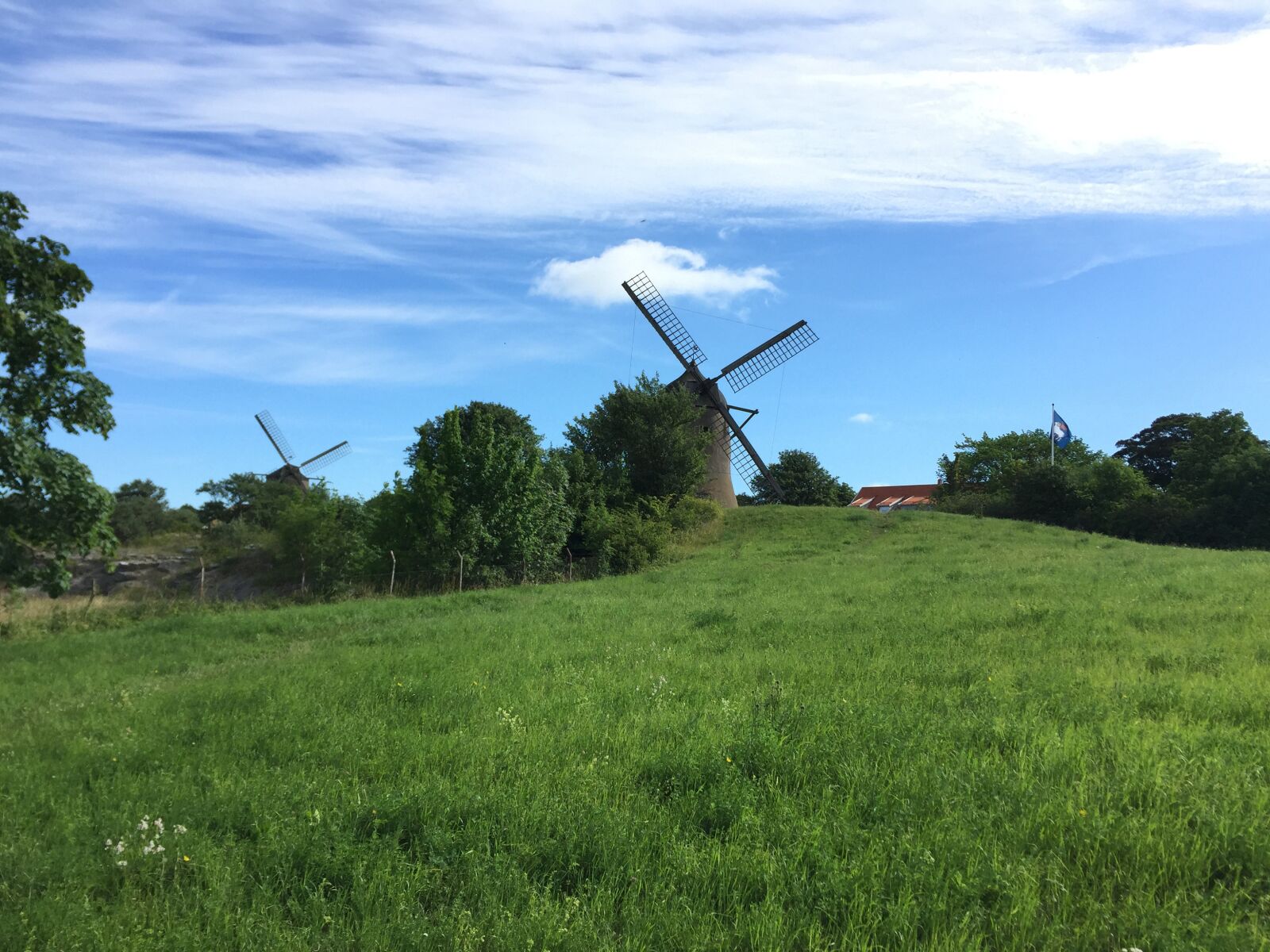iPhone 6 back camera 4.15mm f/2.2 sample photo. Gotland, sweden, summer photography