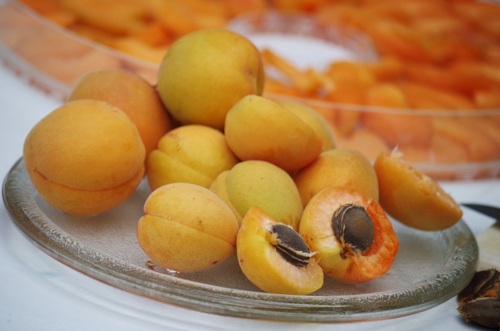 Pentax K-500 sample photo. Apricots, fruit, orange photography