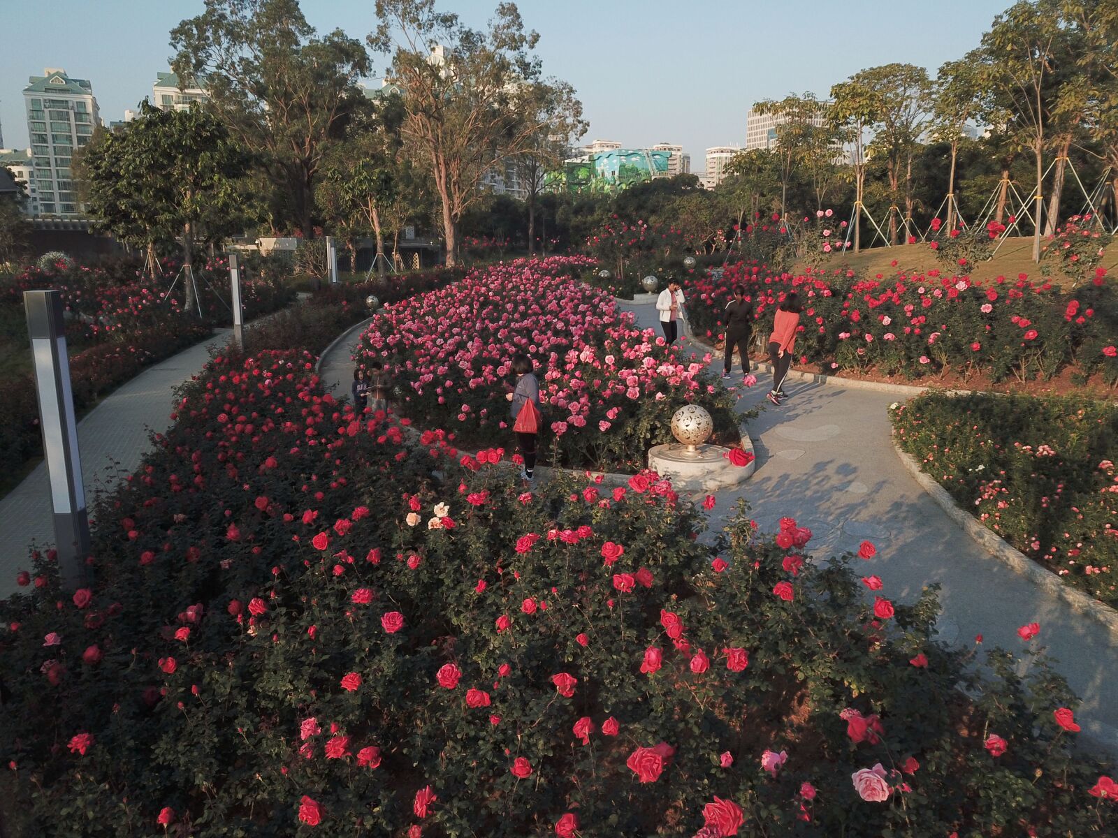 DJI FC220 sample photo