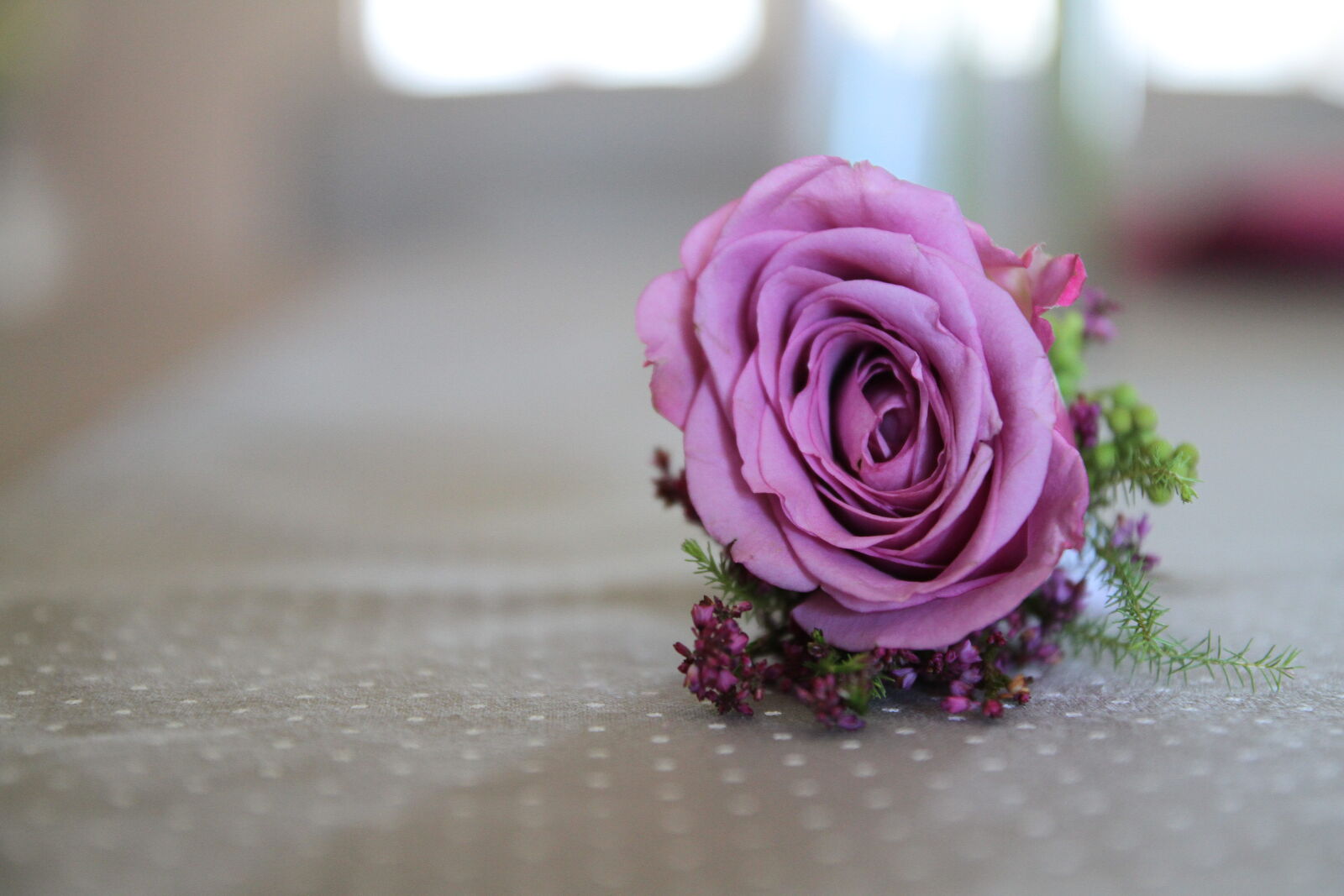 Canon EOS 7D sample photo. Colors, decoration, pastel, purple photography