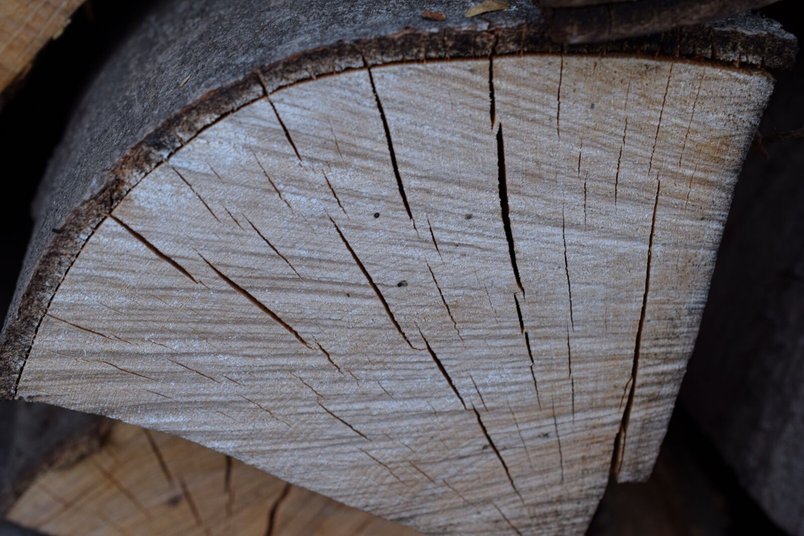 Nikon D5300 sample photo. Wood pile, firewood, wood photography