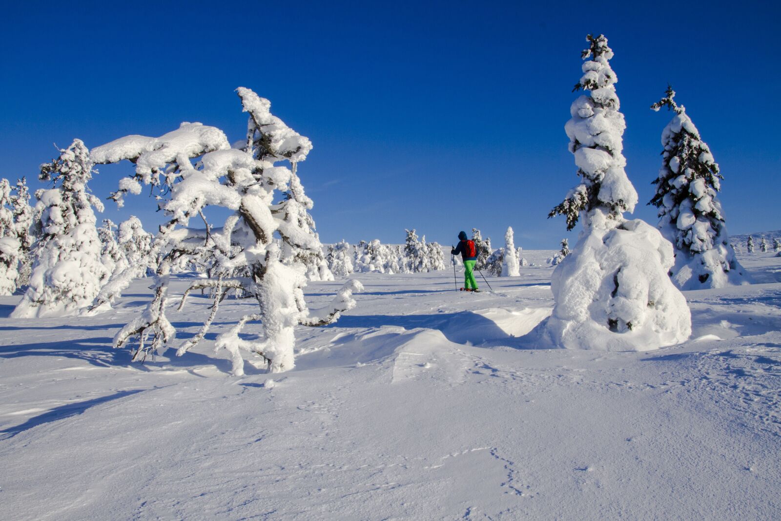 Canon EOS 7D sample photo. Snow shoe snow shoe photography