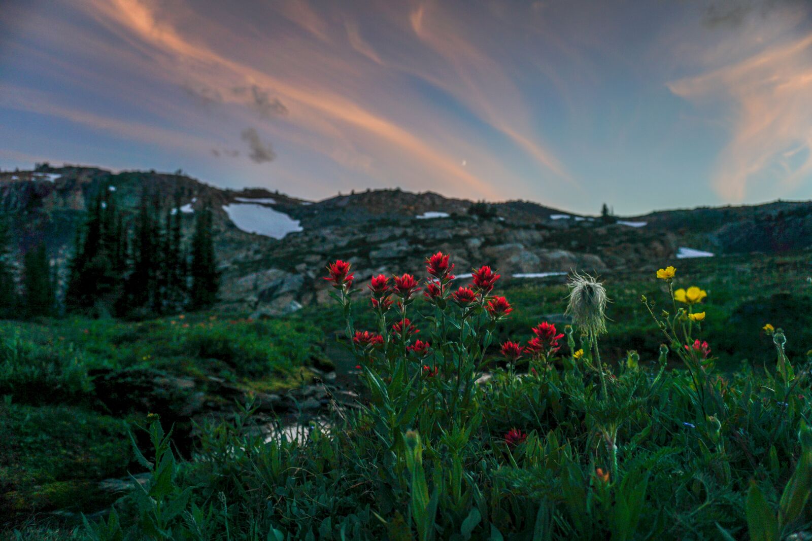 Sony a6000 sample photo. Mountains, flowers, sunset photography
