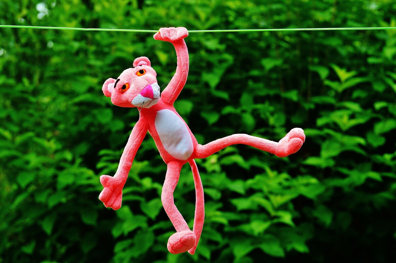 Nikon D3200 sample photo. Hang out, soft toy photography