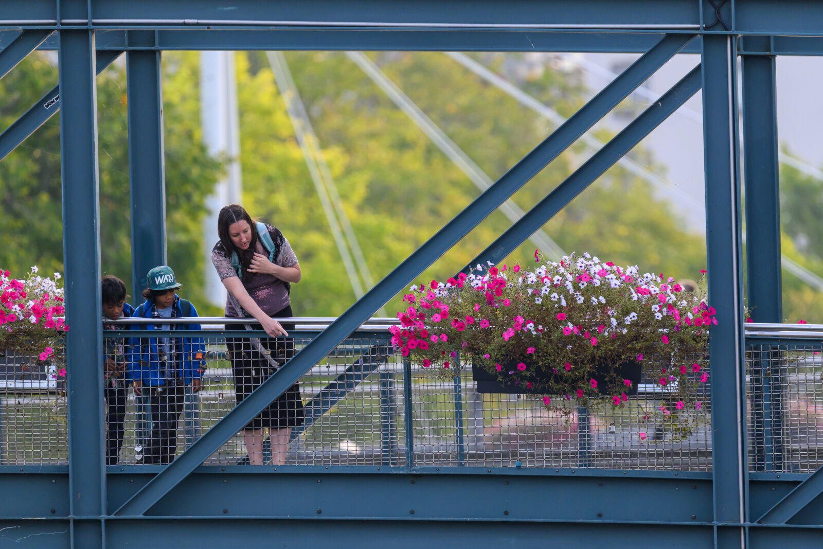 Nikon Z8 sample photo. Bridge over curious water photography