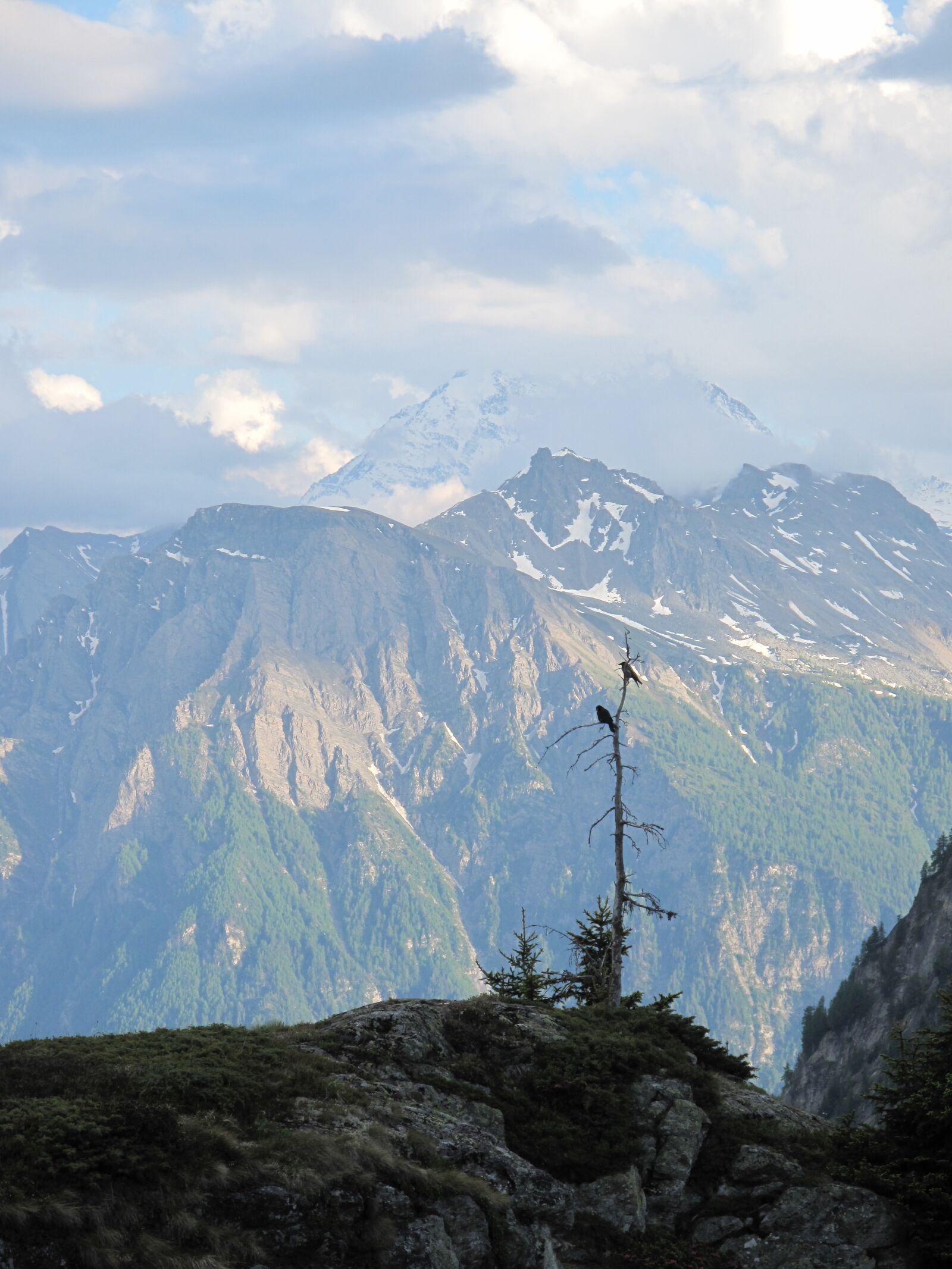 Canon PowerShot G10 sample photo. Switzerland, mountains, crow photography